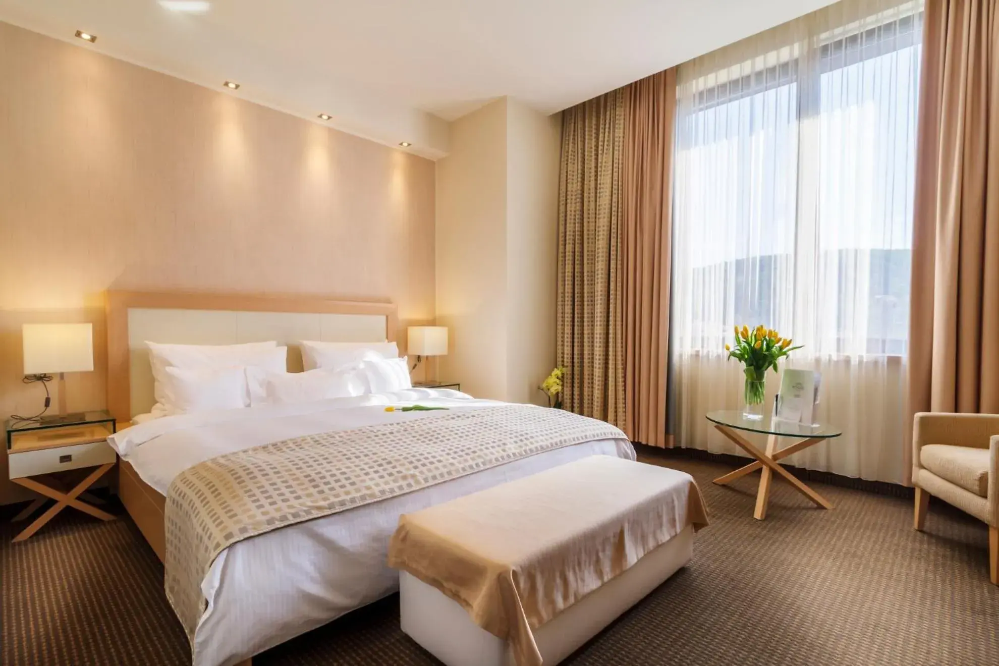 Suite - single occupancy in Hotel Rogge Suite - single occupancy in Hotel Rogge
