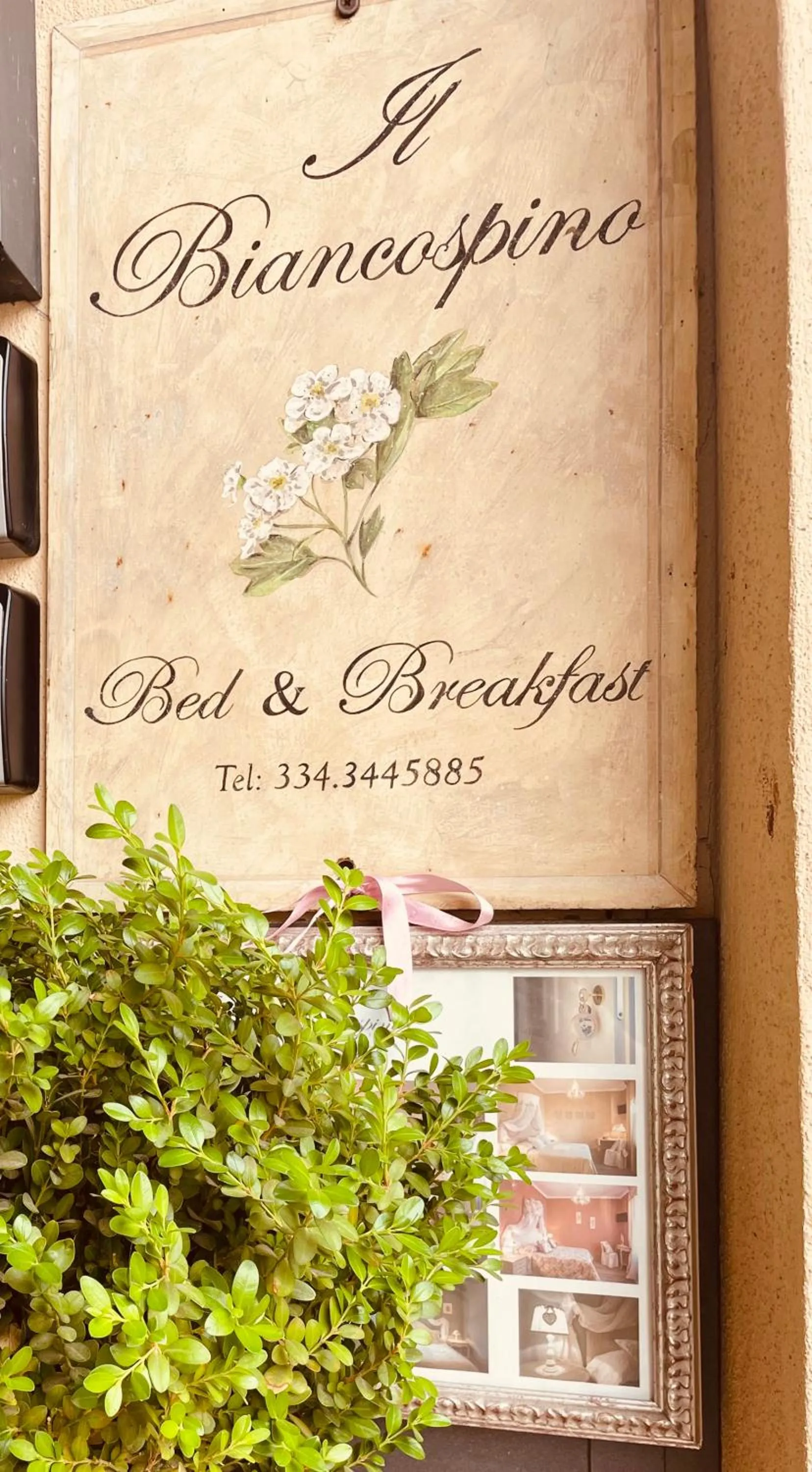 Property building in B&B Il Biancospino