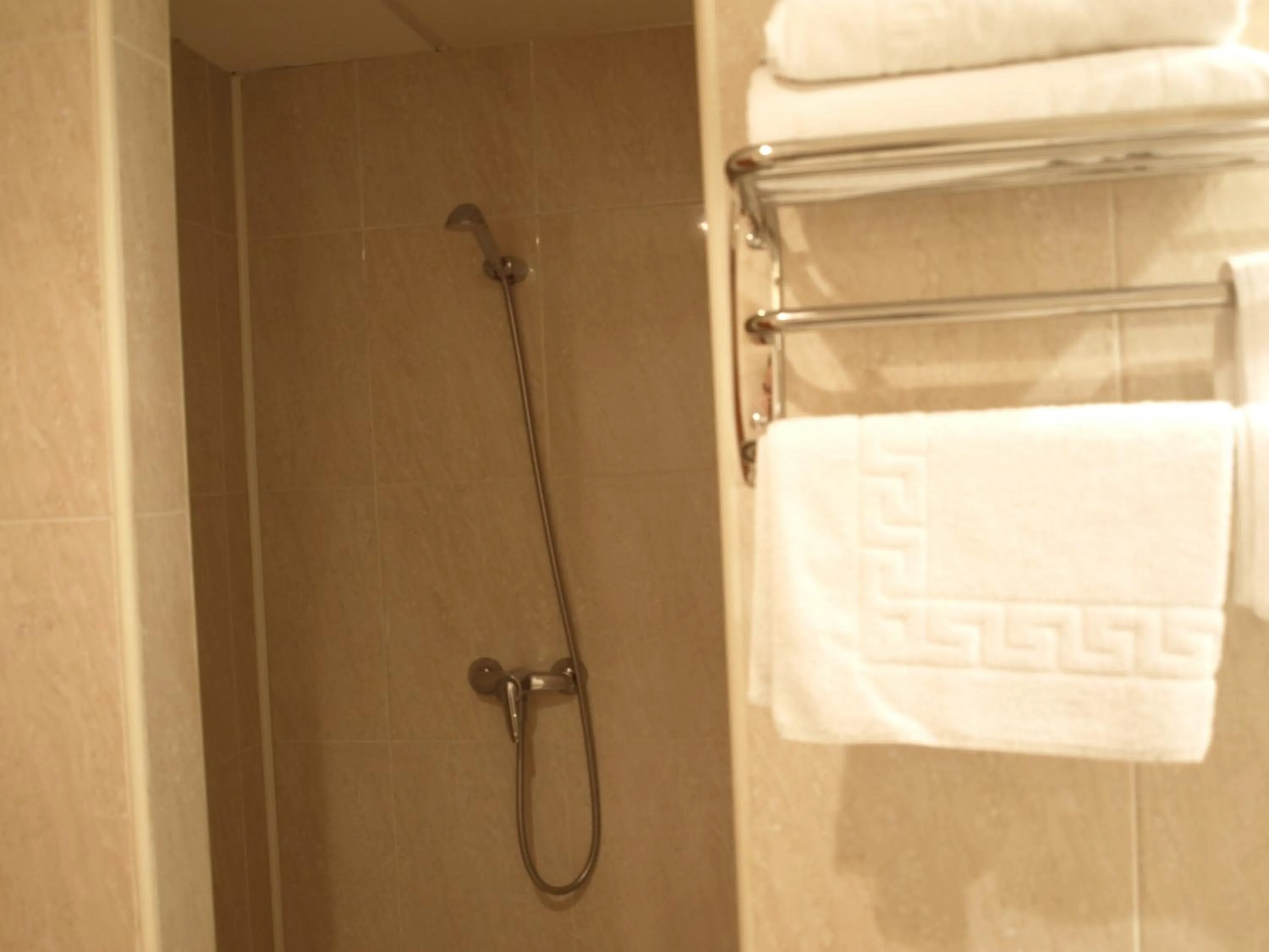 Shower in Pension Viella Asturias