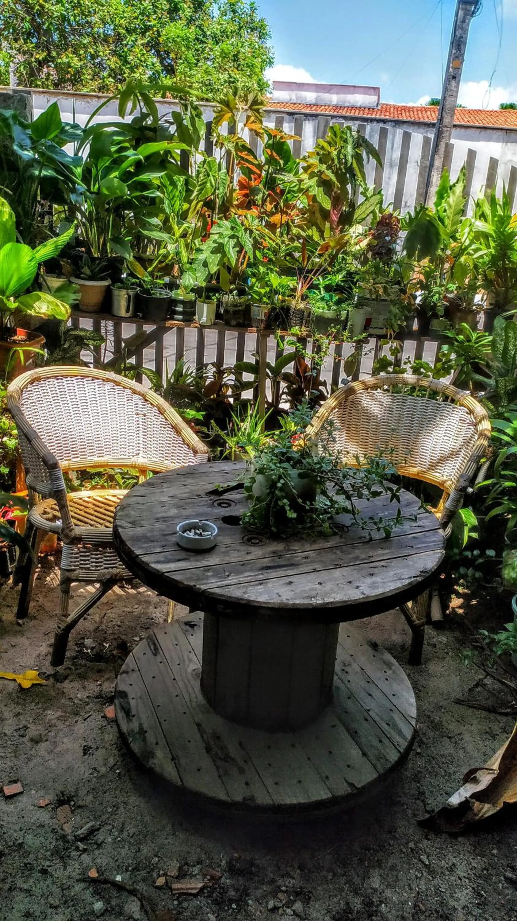 Patio in Hostel Em Boas Mãos
