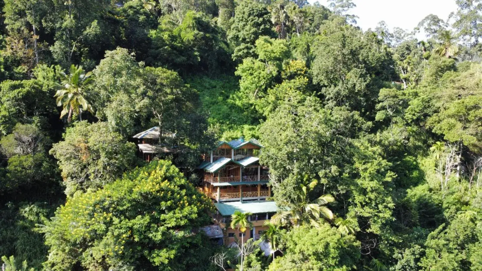 Ella Treehouse Ella Treehouse