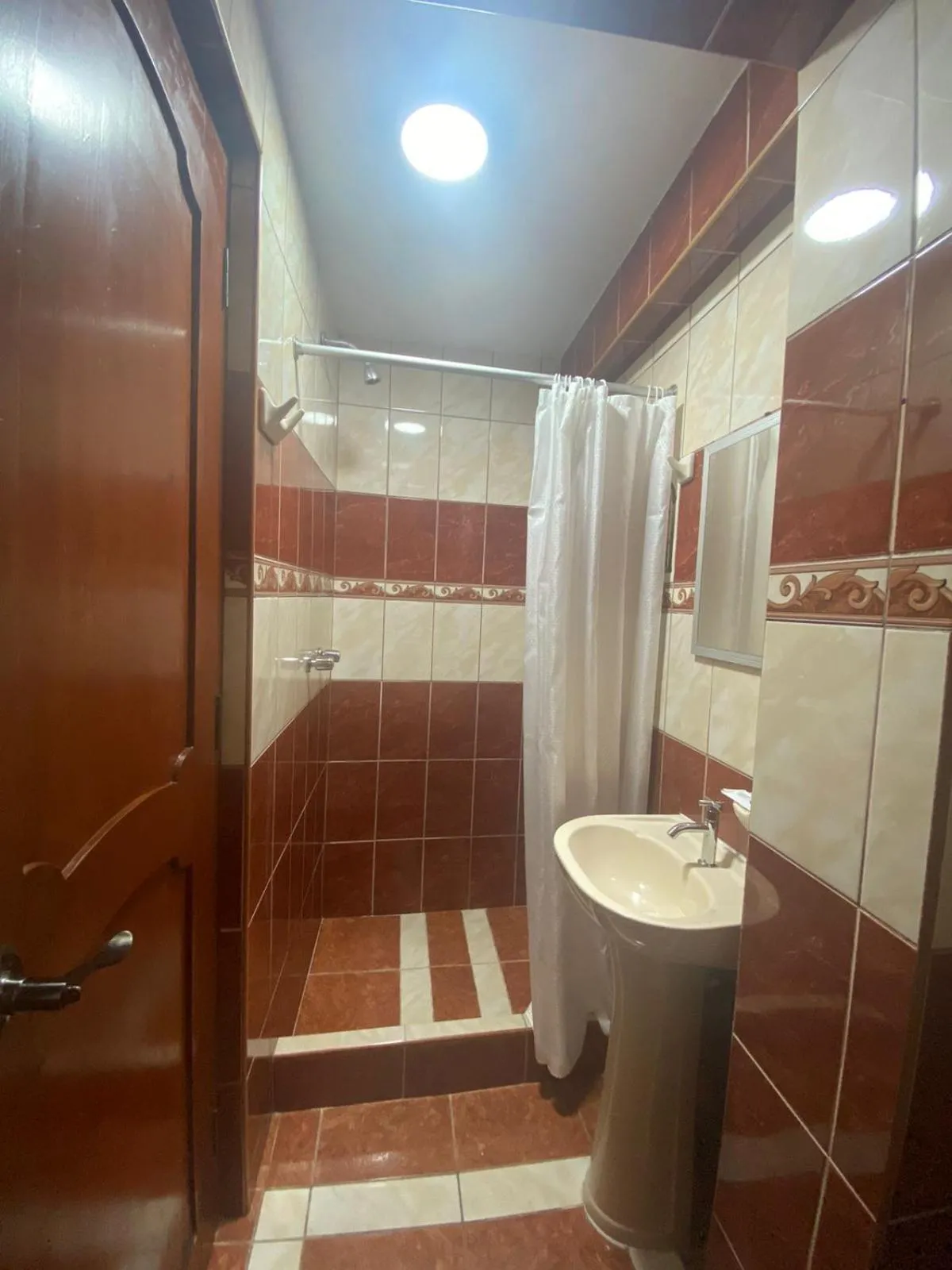 Shower in Hotel Horizonte
