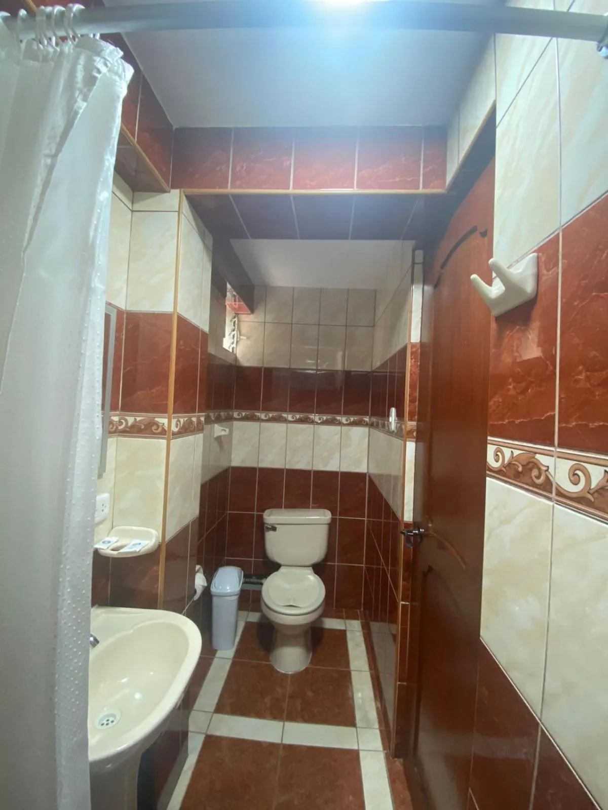 Shower in Hotel Horizonte