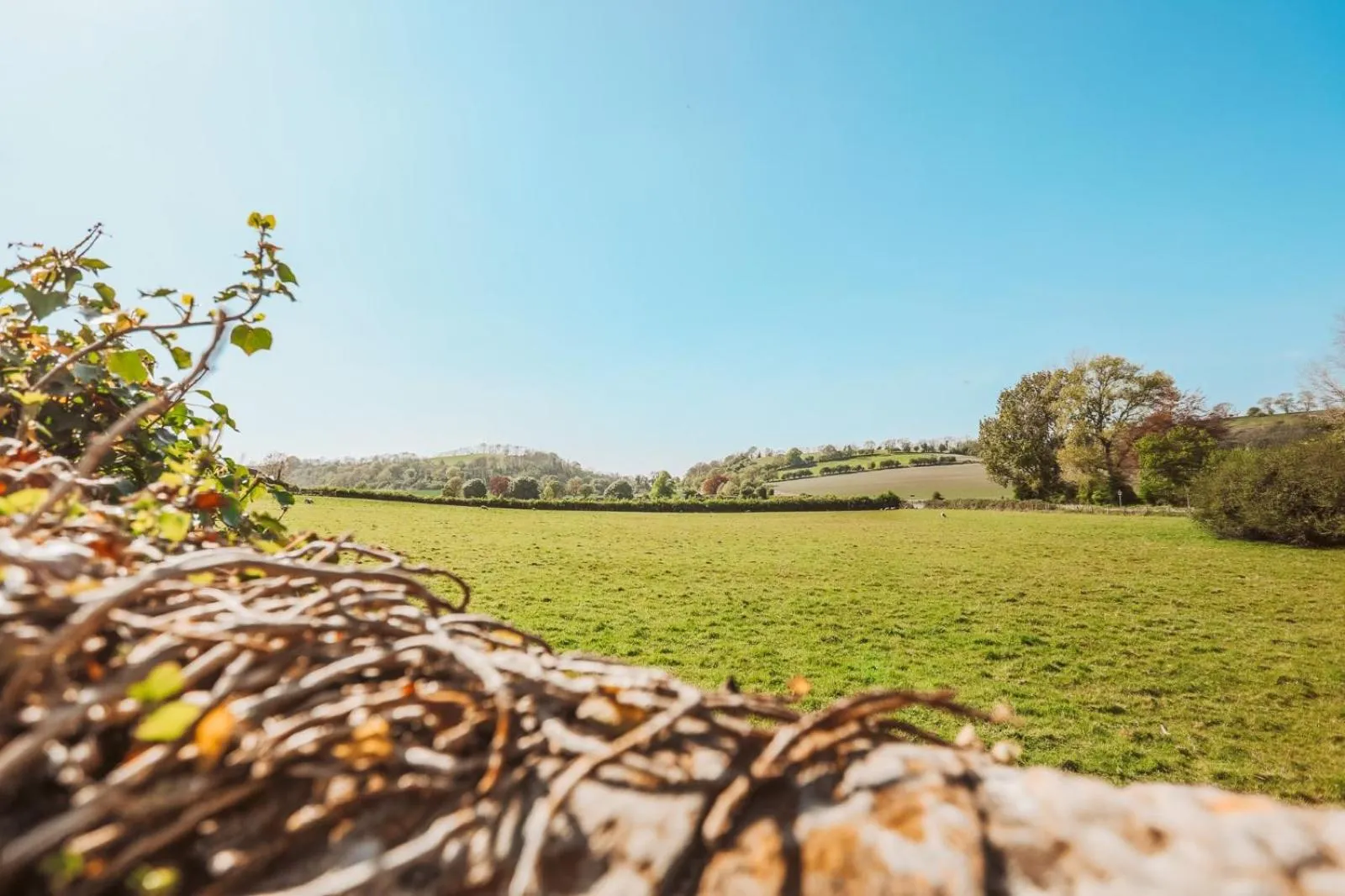 View (from property/room) in The White Hart, South Harting