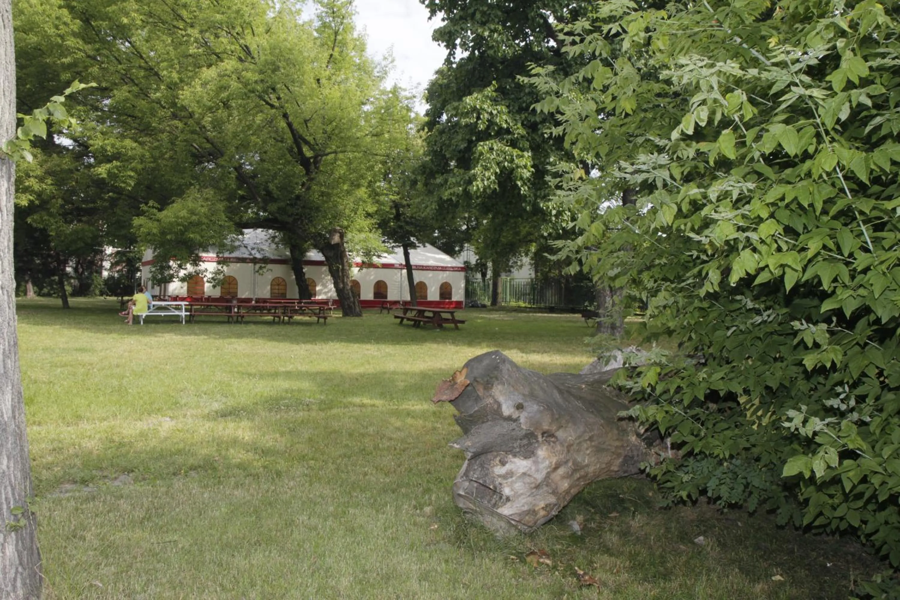 Day in Lawendowy Dworek