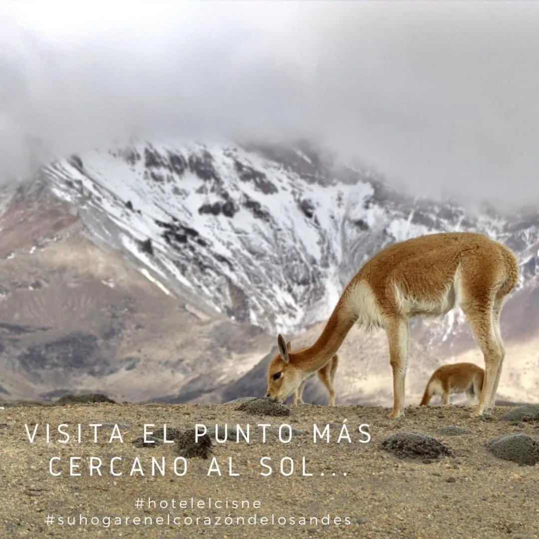 Nearby landmark in Hotel El Cisne Internacional