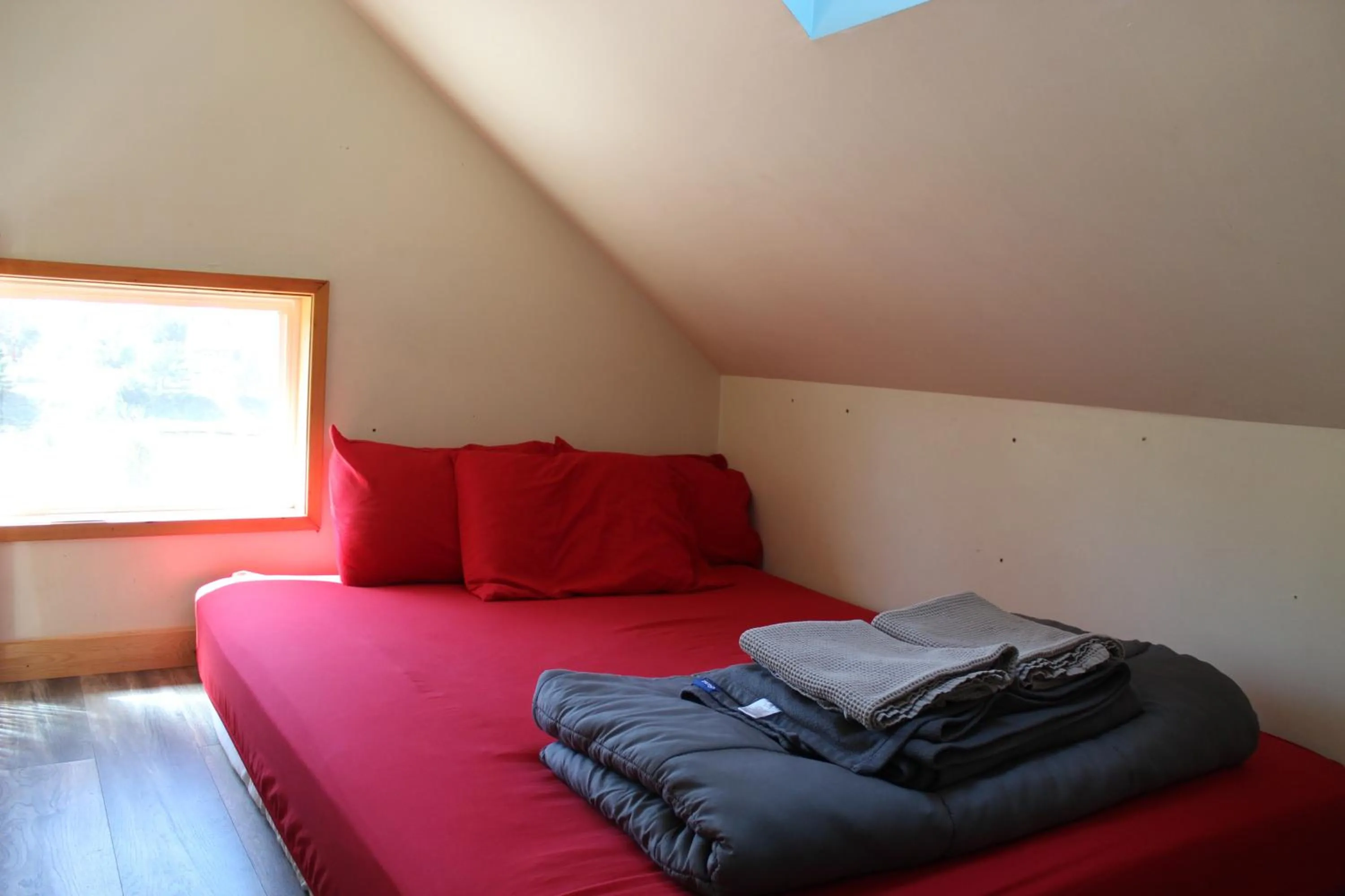 Bed in Seaside International Hostel