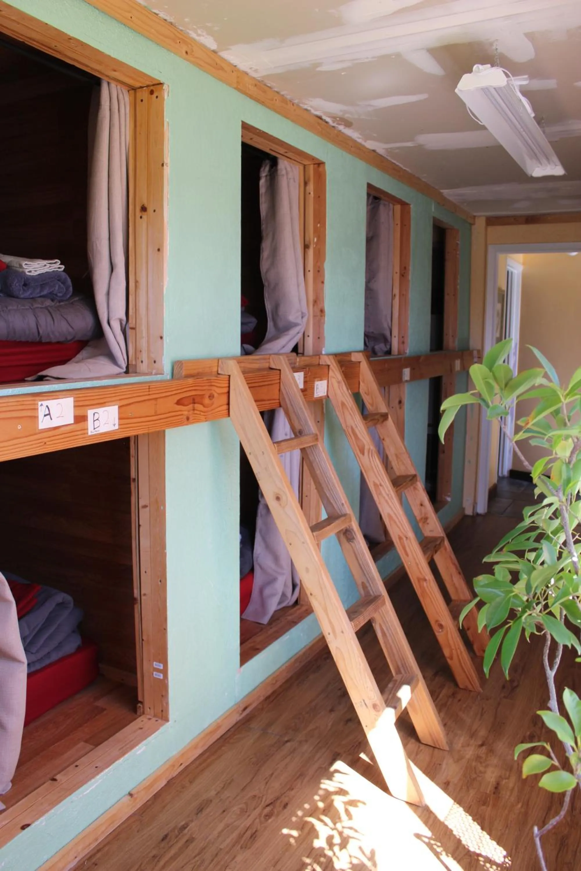 bunk bed in Seaside International Hostel