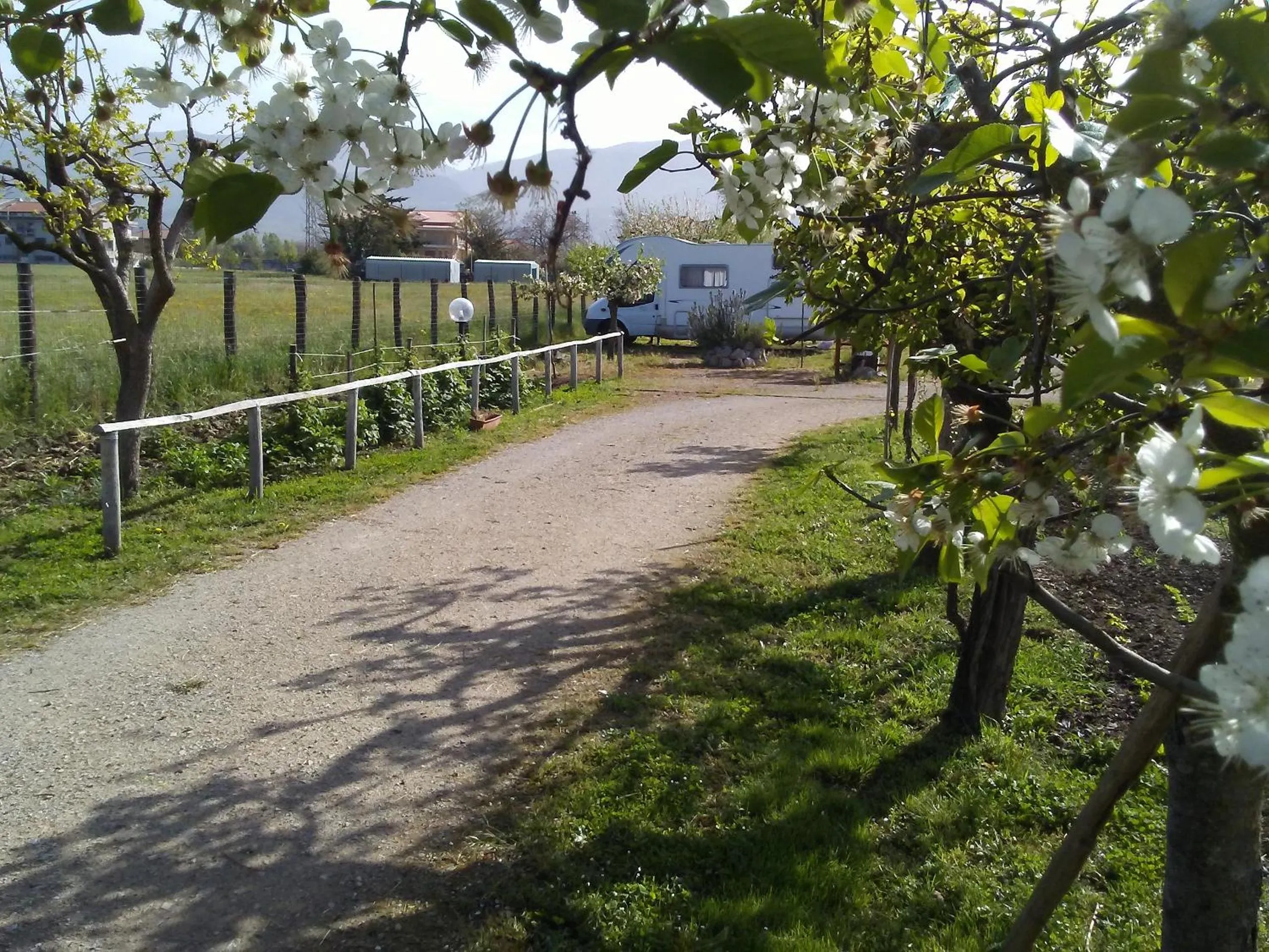 Garden in B&B Il Tiglio