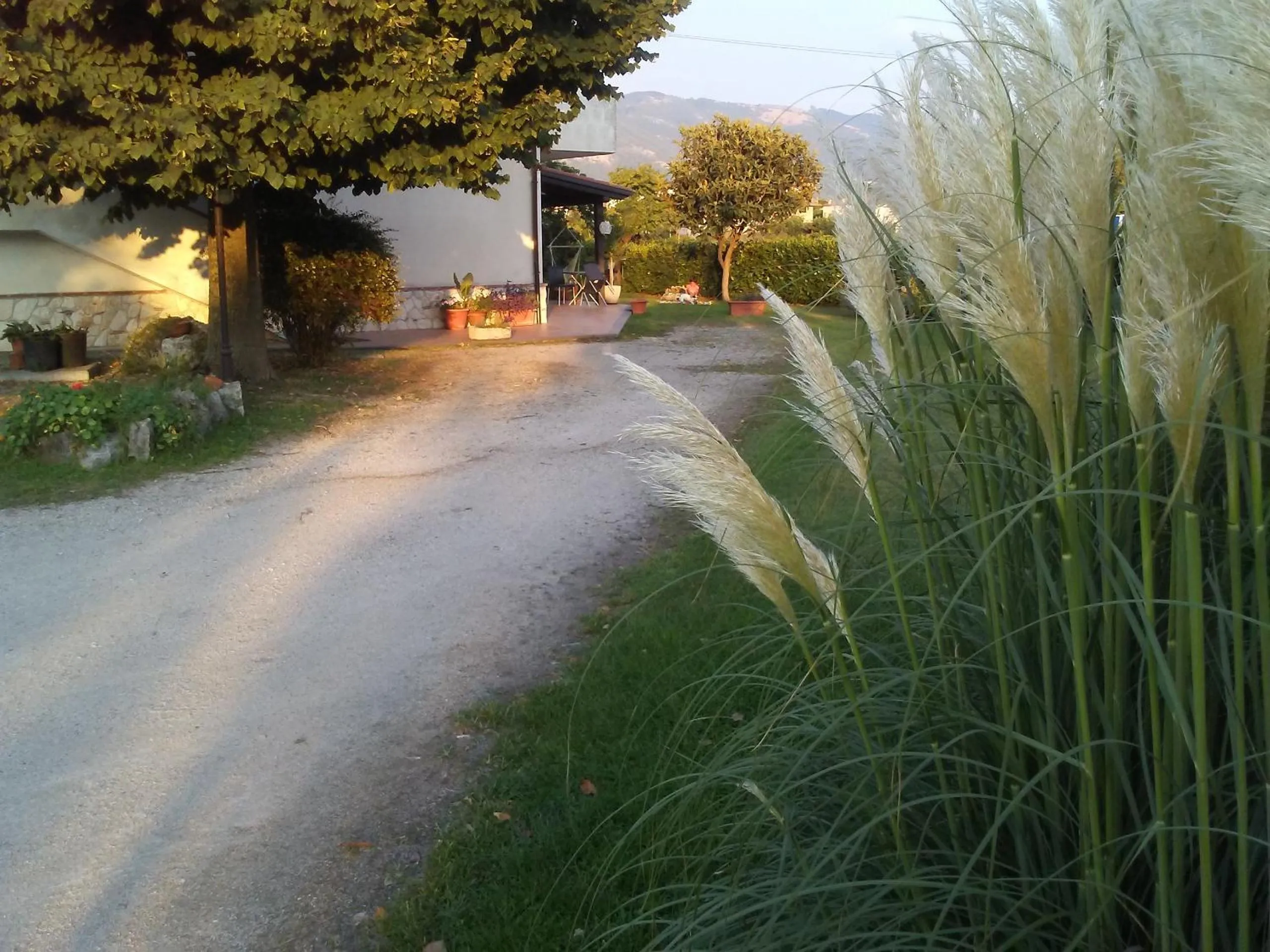 Garden in B&B Il Tiglio