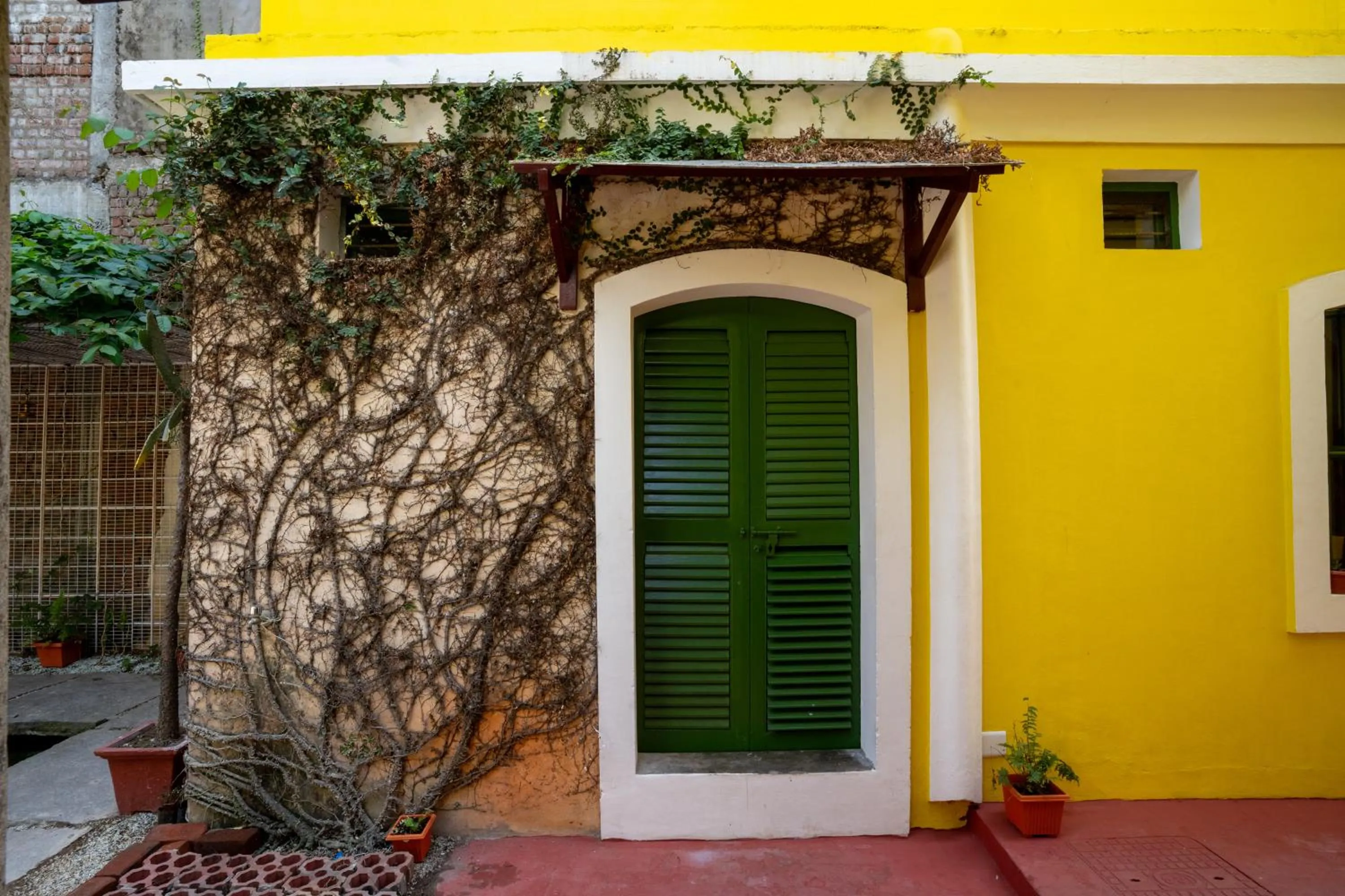 Garden in Luigi Villa