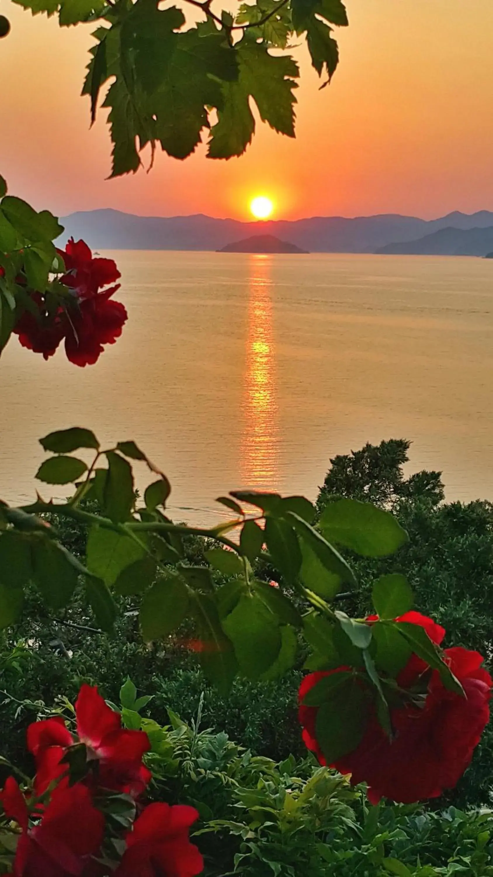 Restaurant/places to eat in Ece Hotel Sovalye Island Restaurant/places to eat in Ece Hotel Sovalye Island