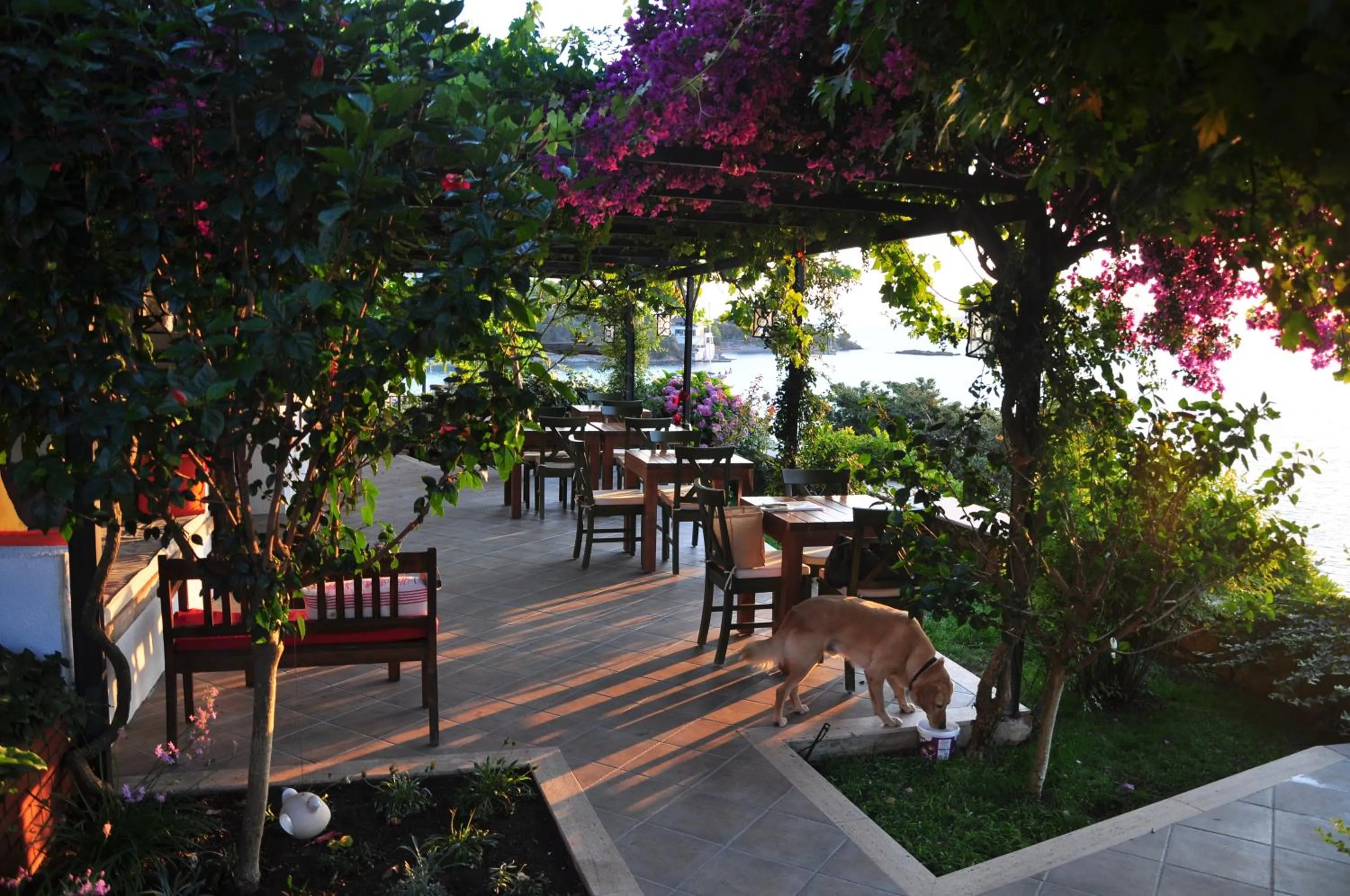 Lounge or bar in Ece Hotel Sovalye Island