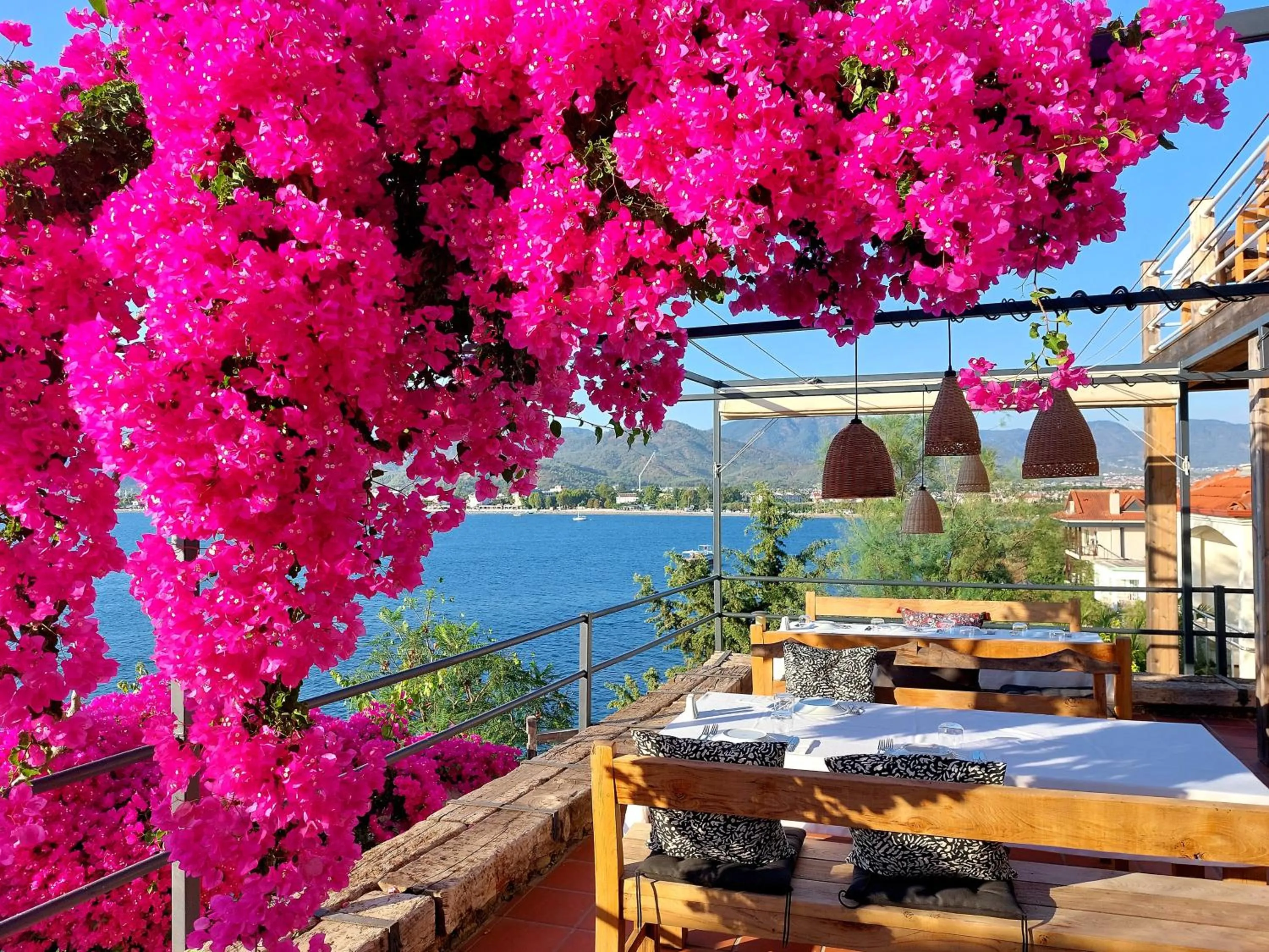 Restaurant/places to eat in Ece Hotel Sovalye Island