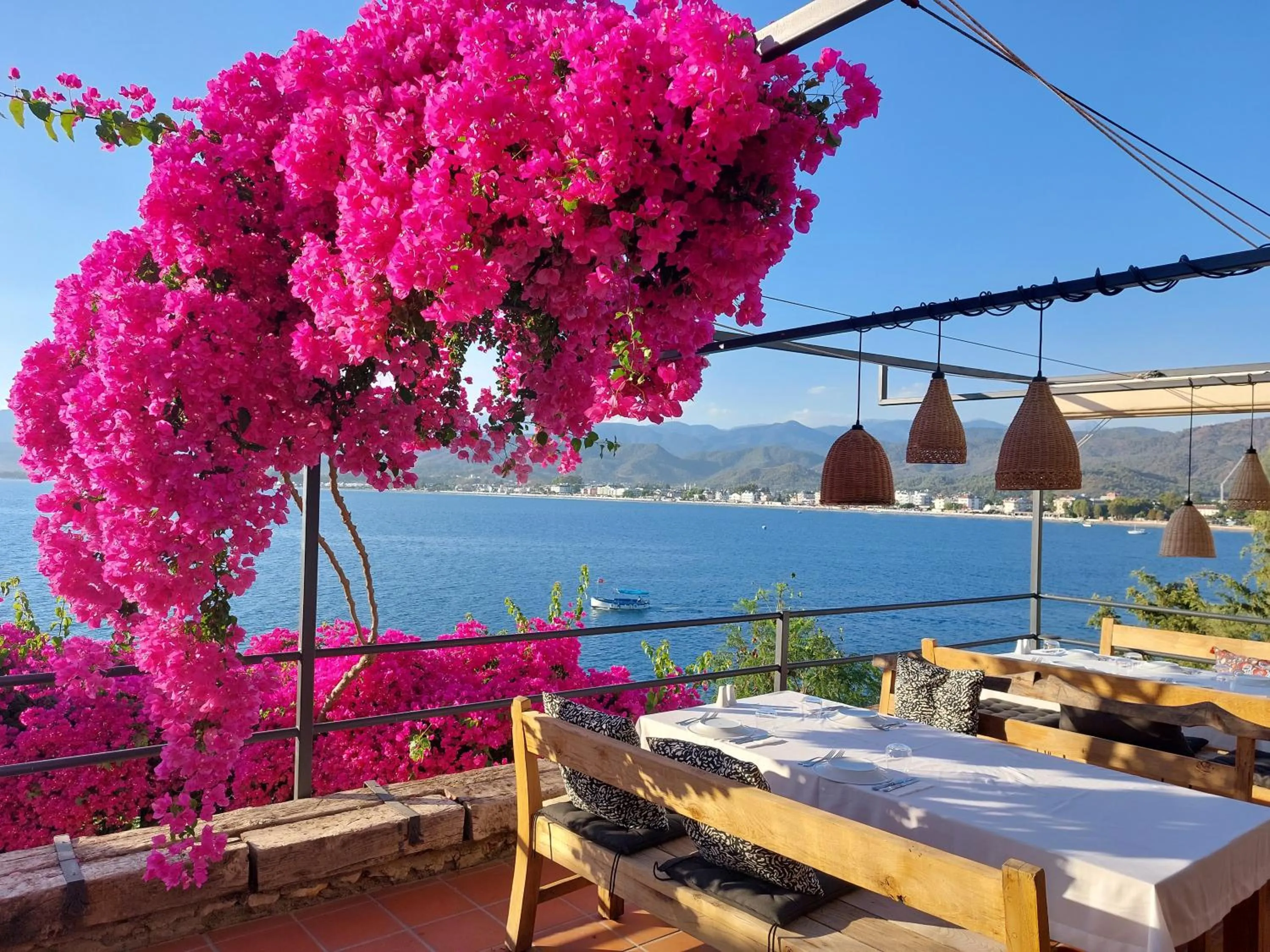 Restaurant/places to eat in Ece Hotel Sovalye Island