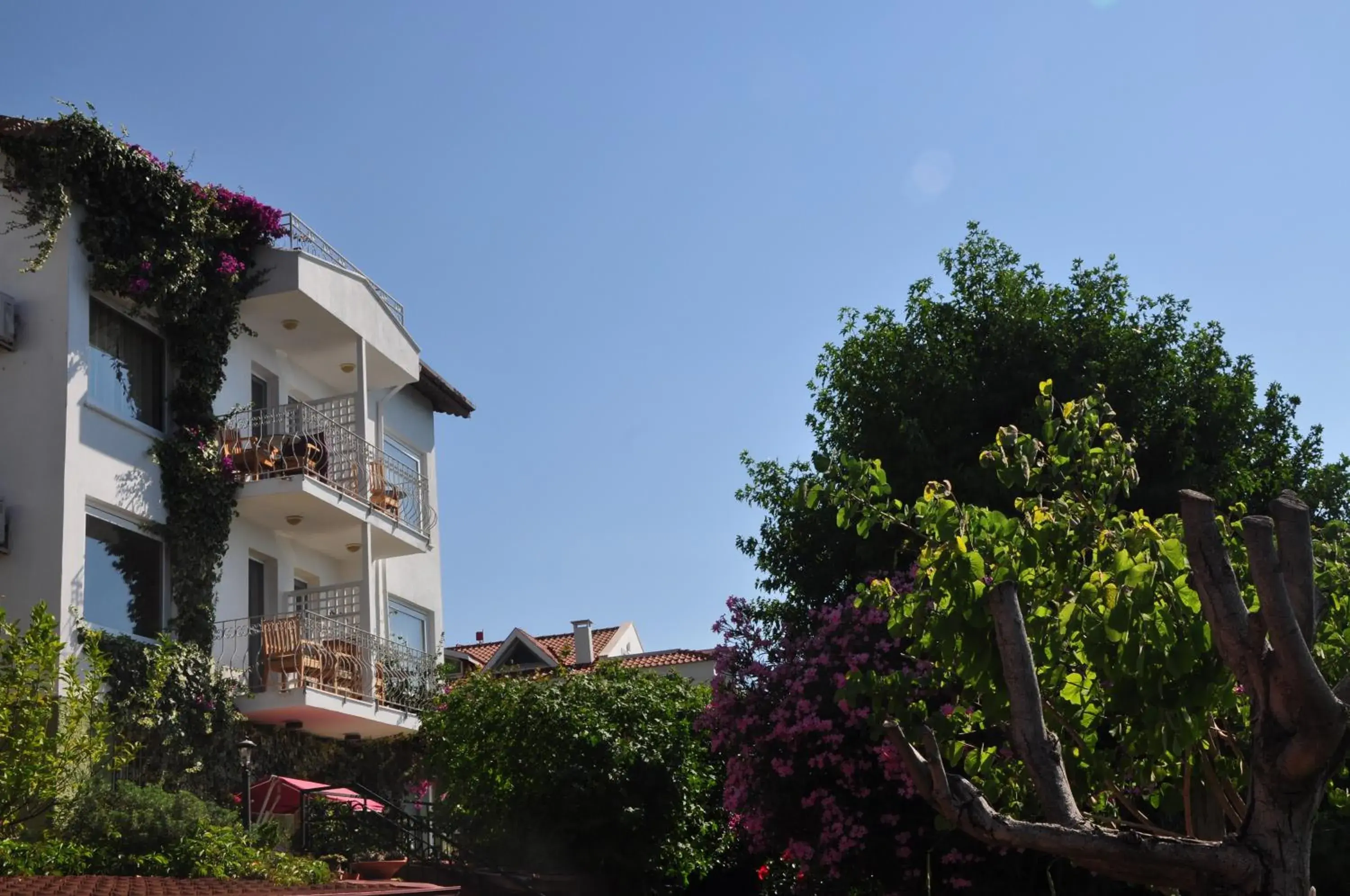 Facade/entrance in Ece Hotel Sovalye Island Facade/entrance in Ece Hotel Sovalye Island
