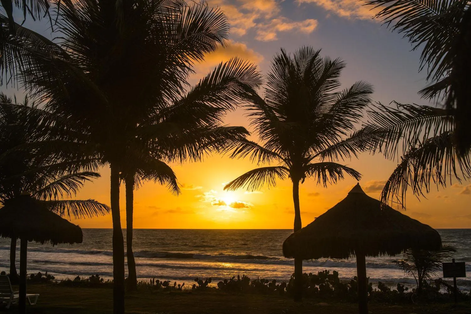 Natural landscape in Vila Galé Resort Marés - All Inclusive