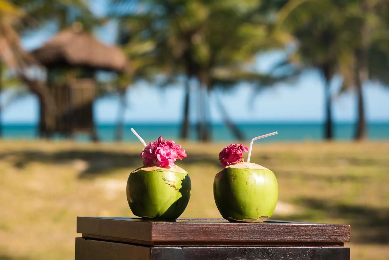 Vila Galé Resort Marés - All Inclusive