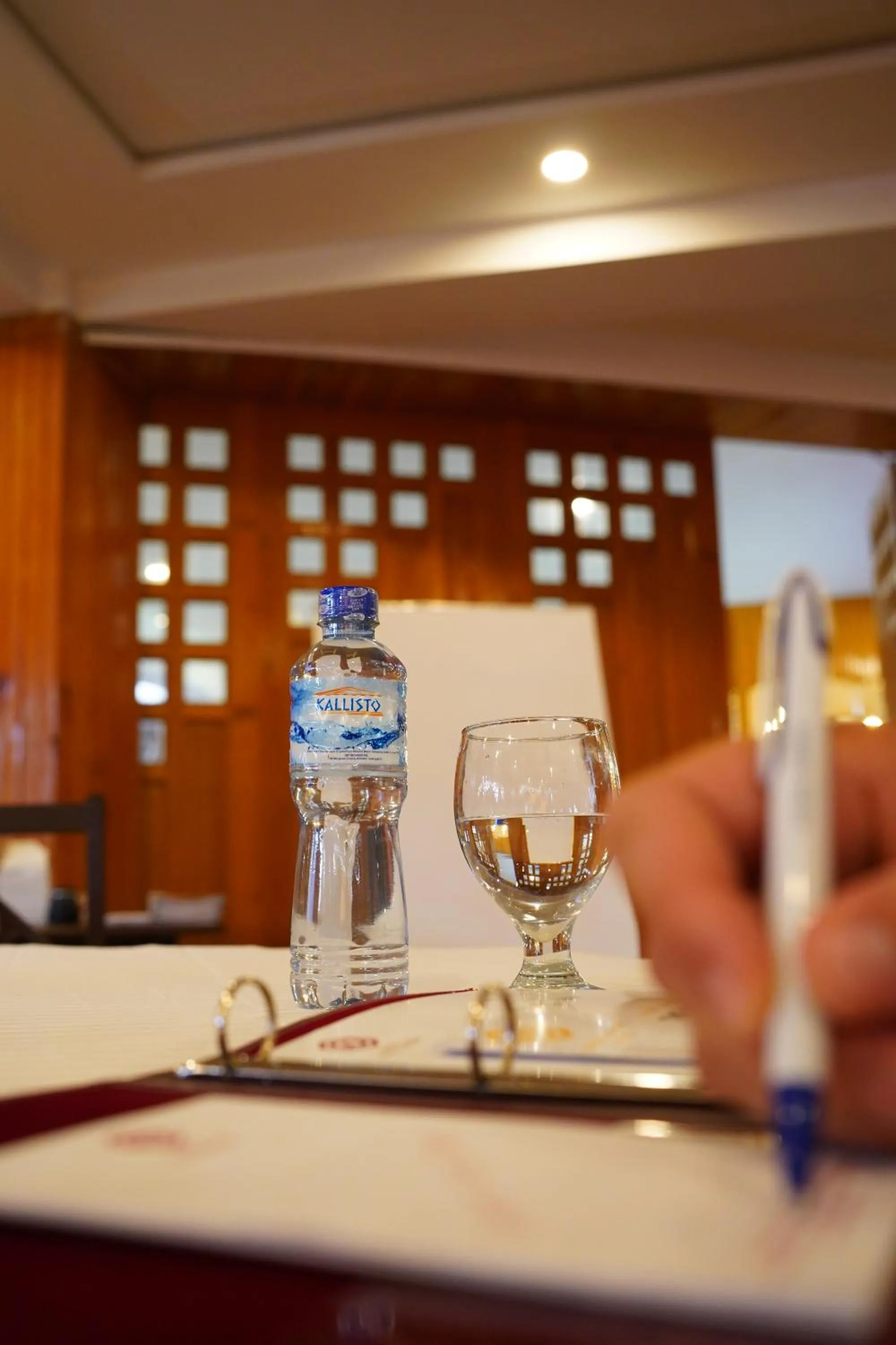 Business facilities in Hunza Darbar Hotel