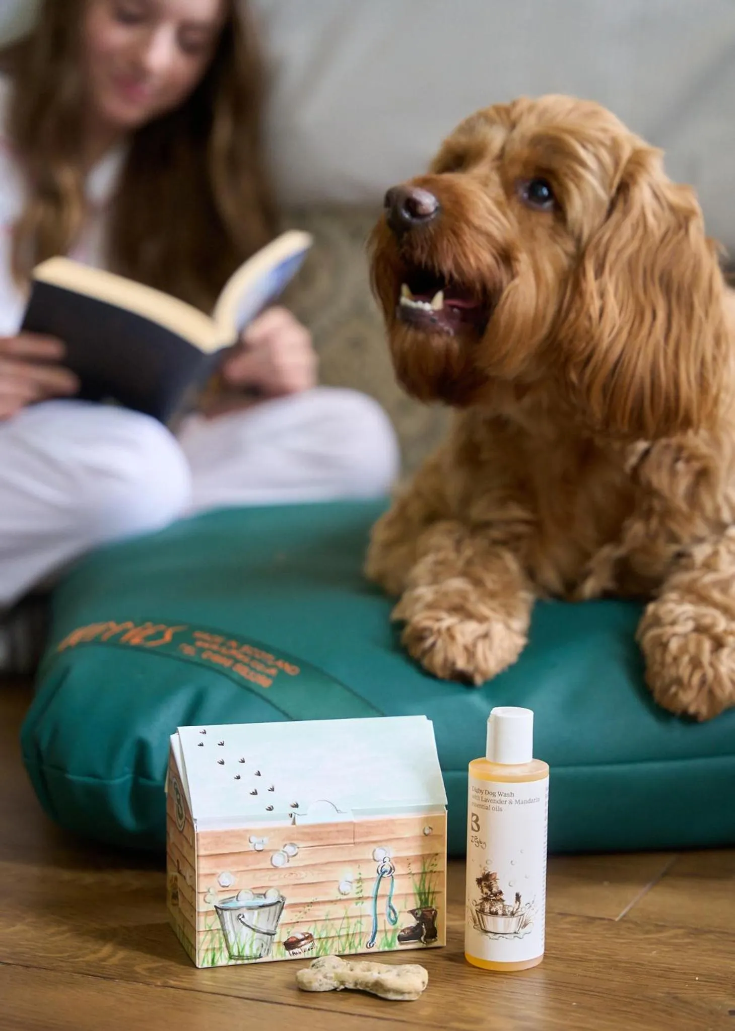 Pets in The White Horse - A Heartwood Inn