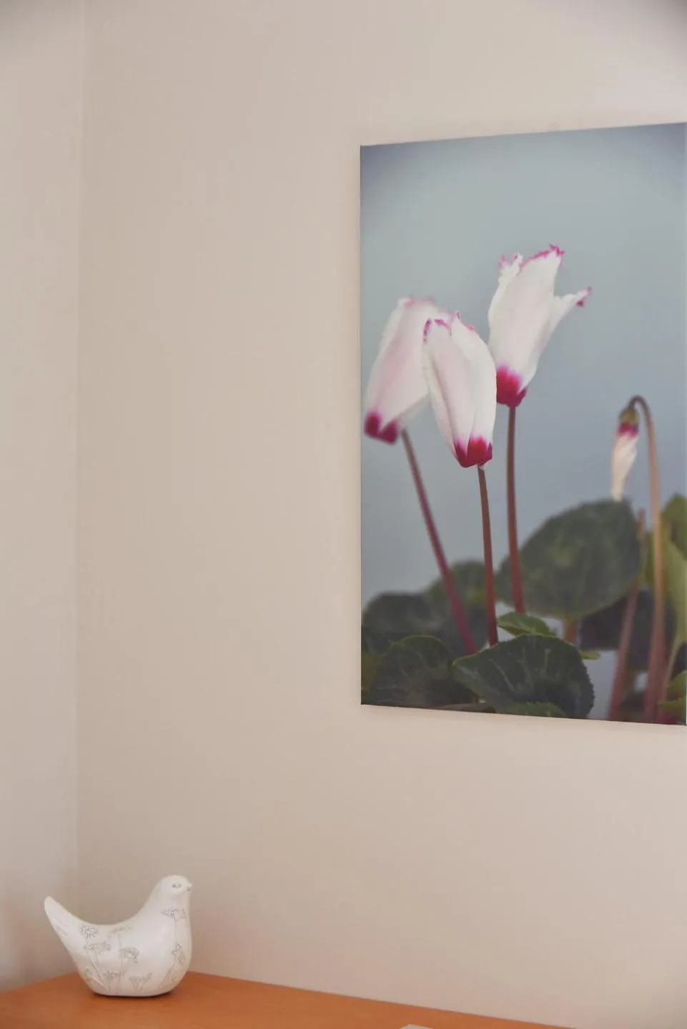 Cyclamen Apartments