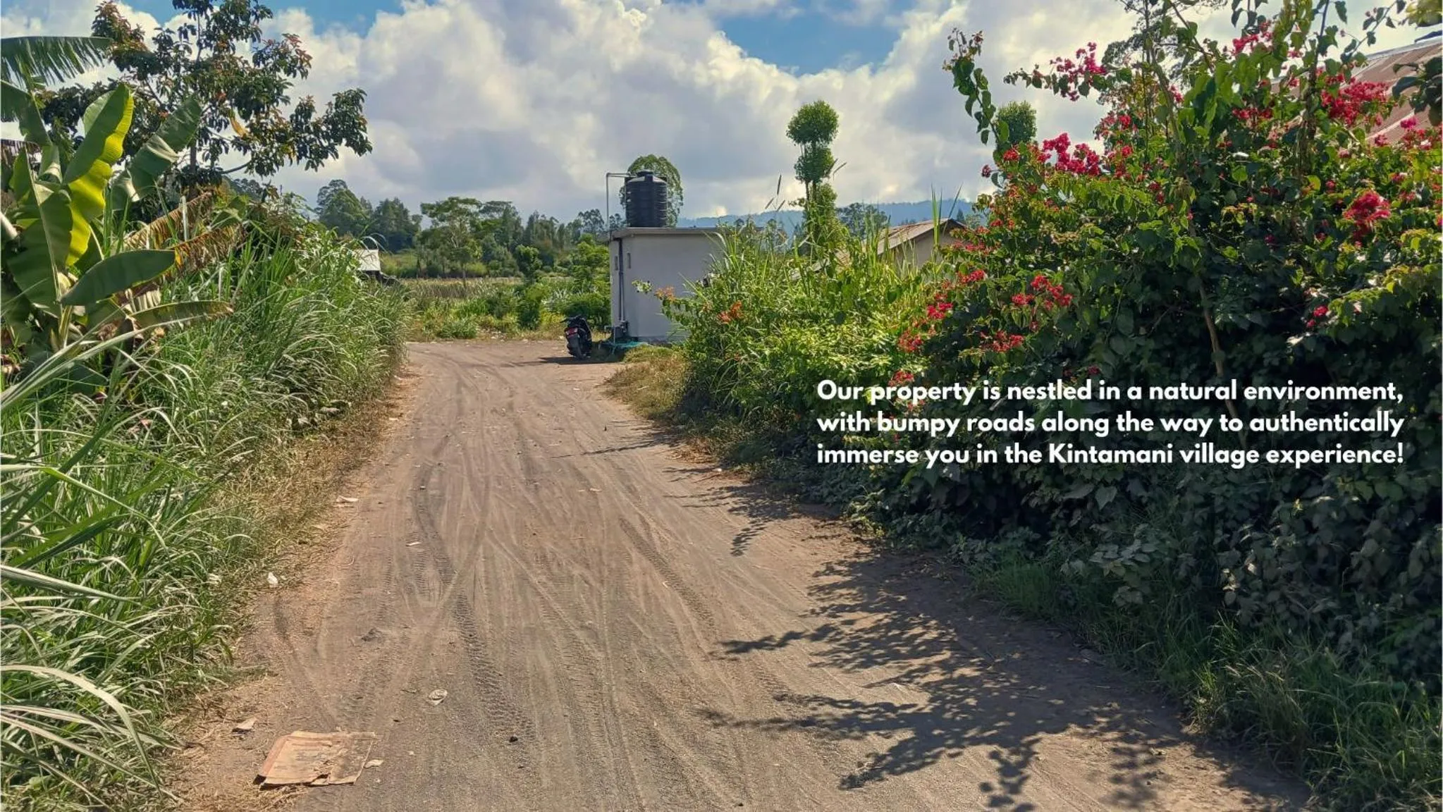 Natural landscape in Polestay Glamping Kintamani