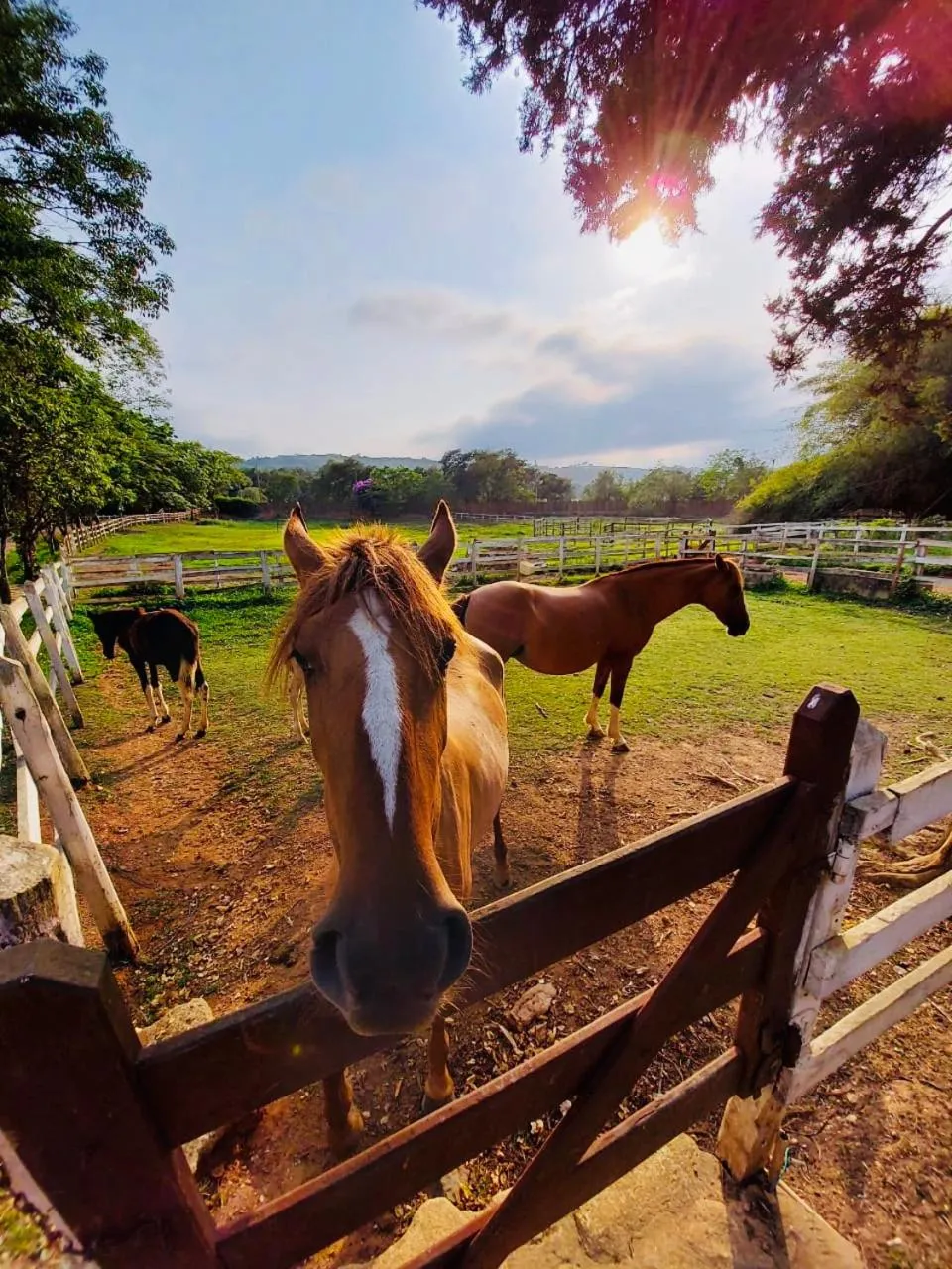 Fazenda Quinta da Esperança- Pousada e Lazer