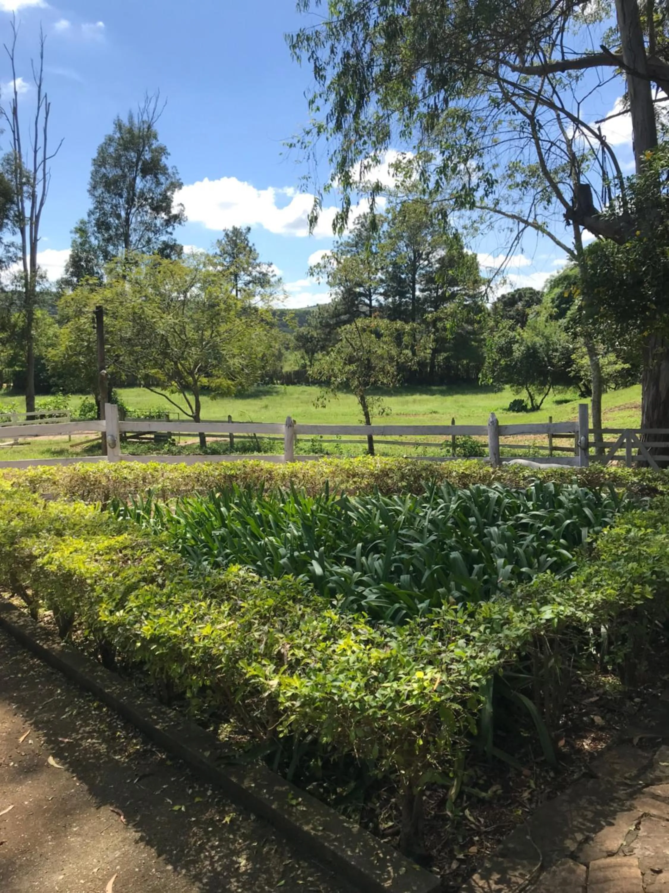 Garden in Fazenda Quinta da Esperança- Pousada e Lazer