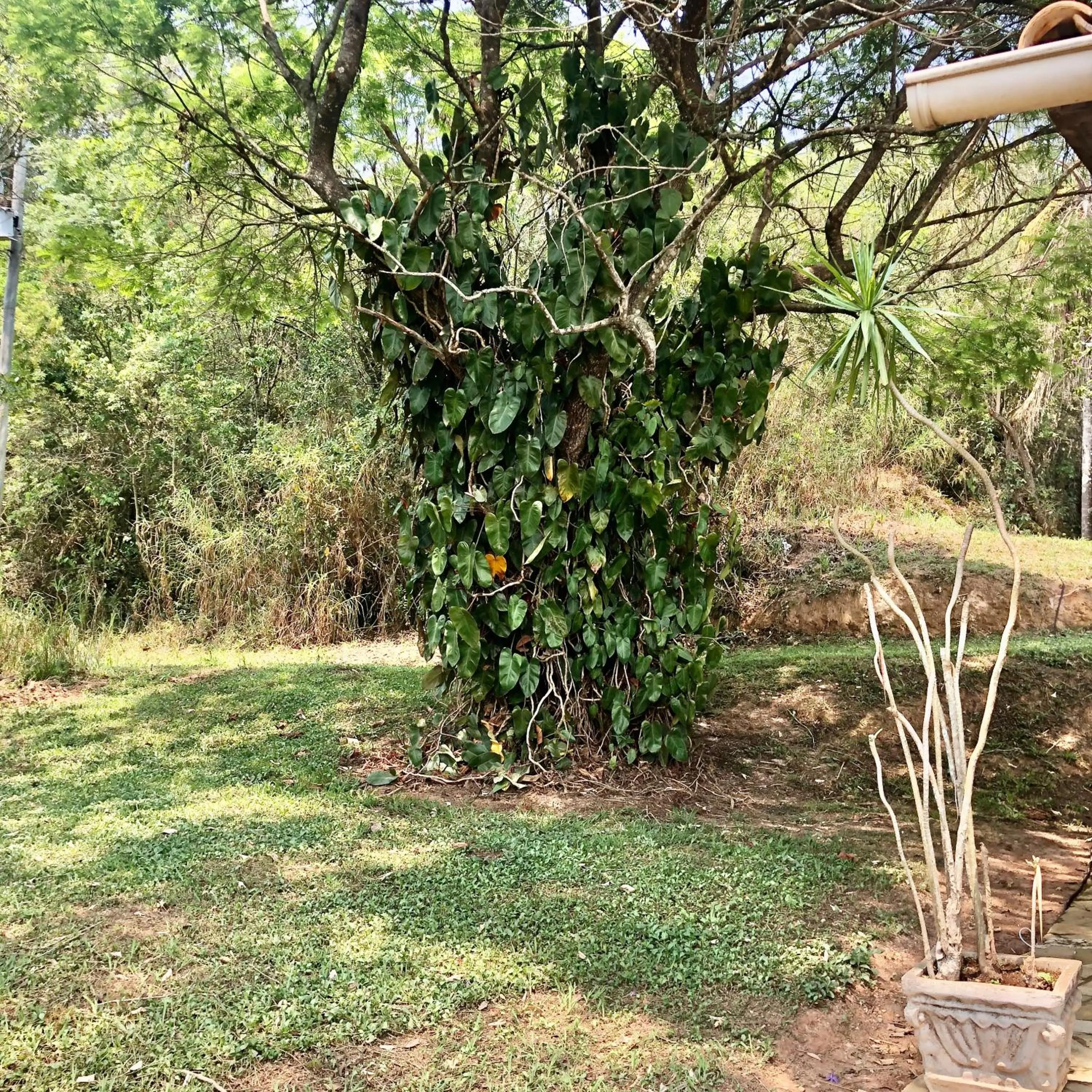 Fazenda Quinta da Esperança- Pousada e Lazer