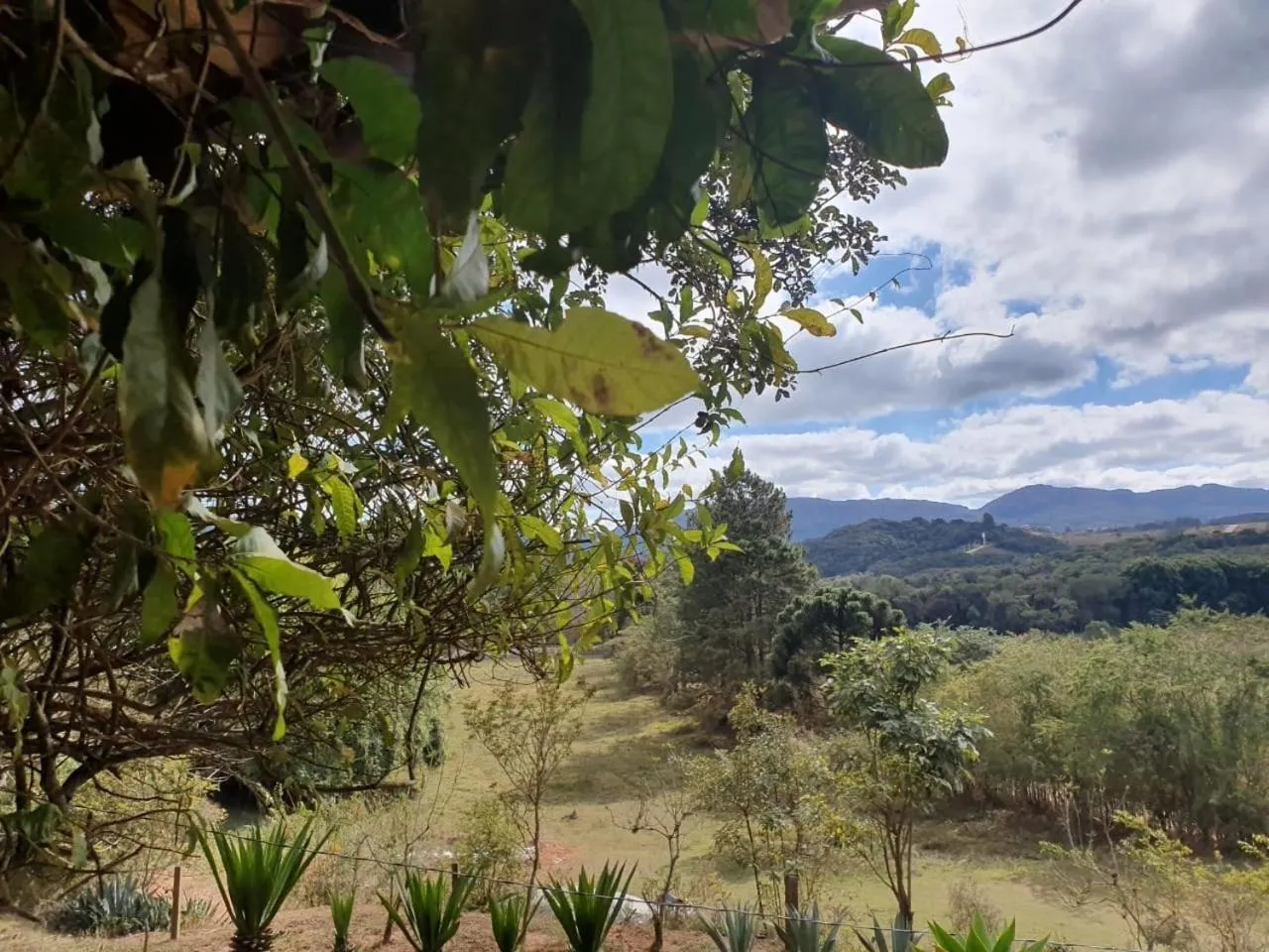 Fazenda Quinta da Esperança- Pousada e Lazer