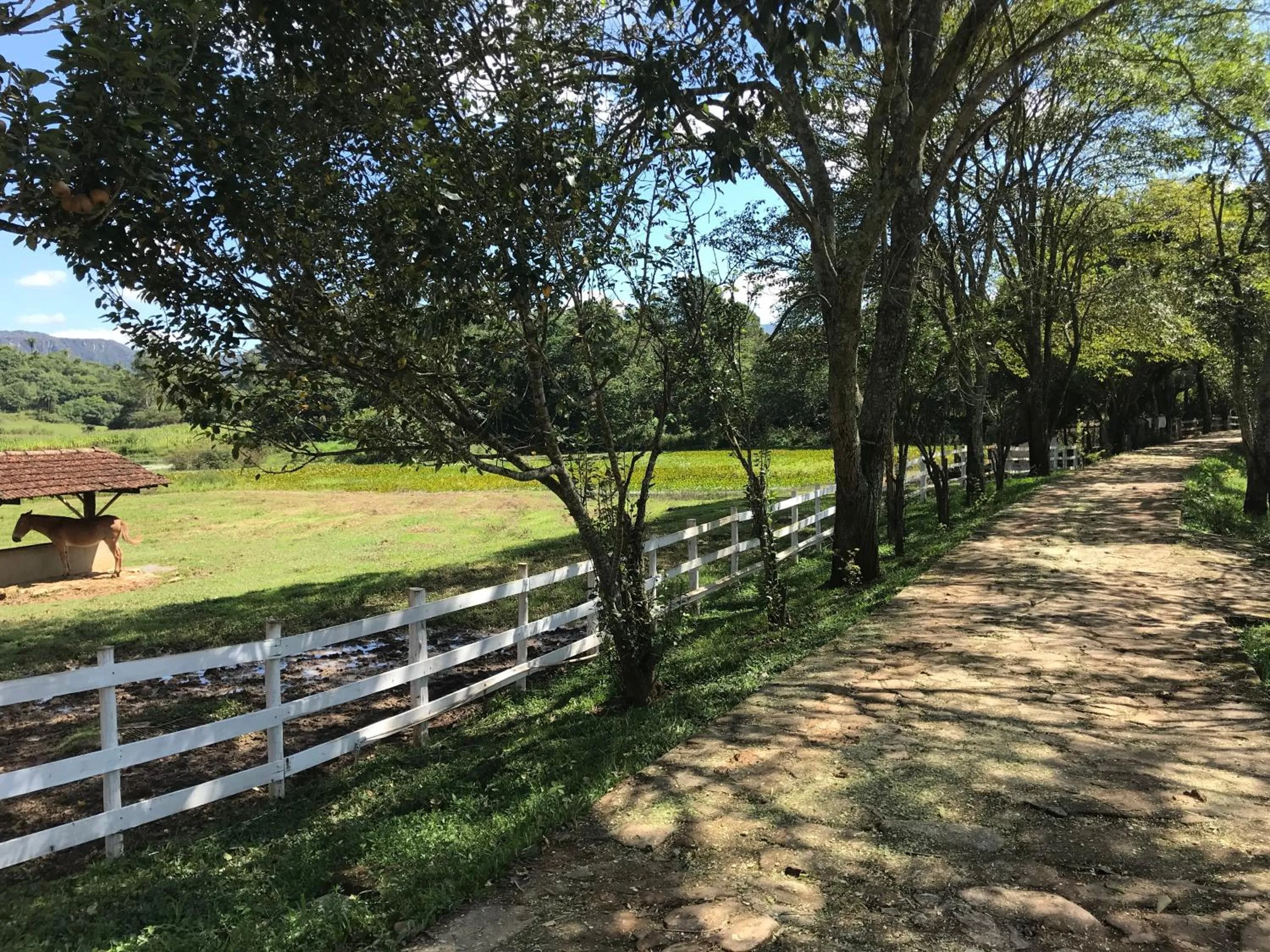 Hiking in Fazenda Quinta da Esperança- Pousada e Lazer