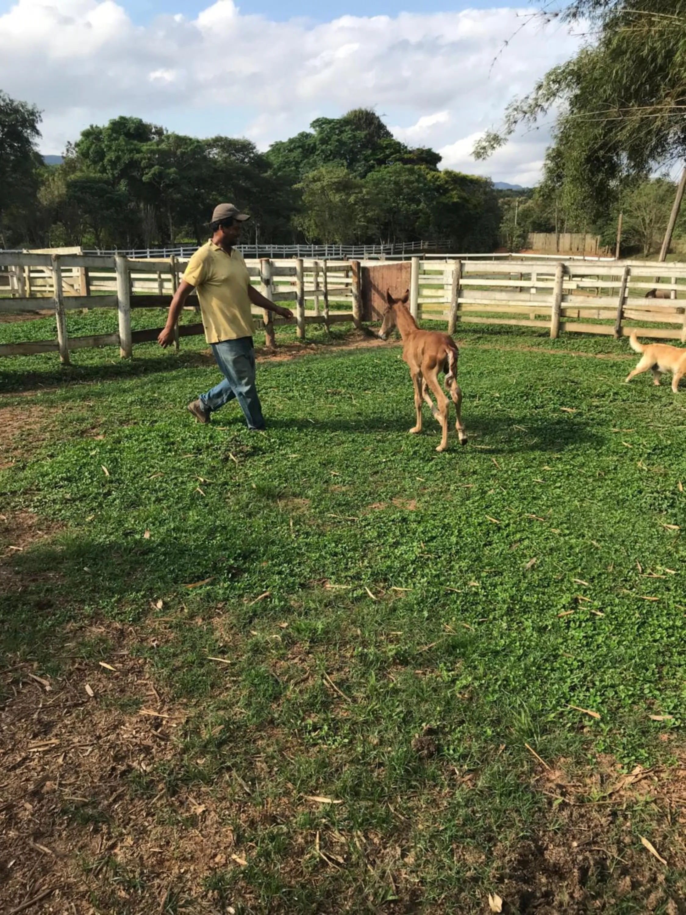 Fazenda Quinta da Esperança- Pousada e Lazer
