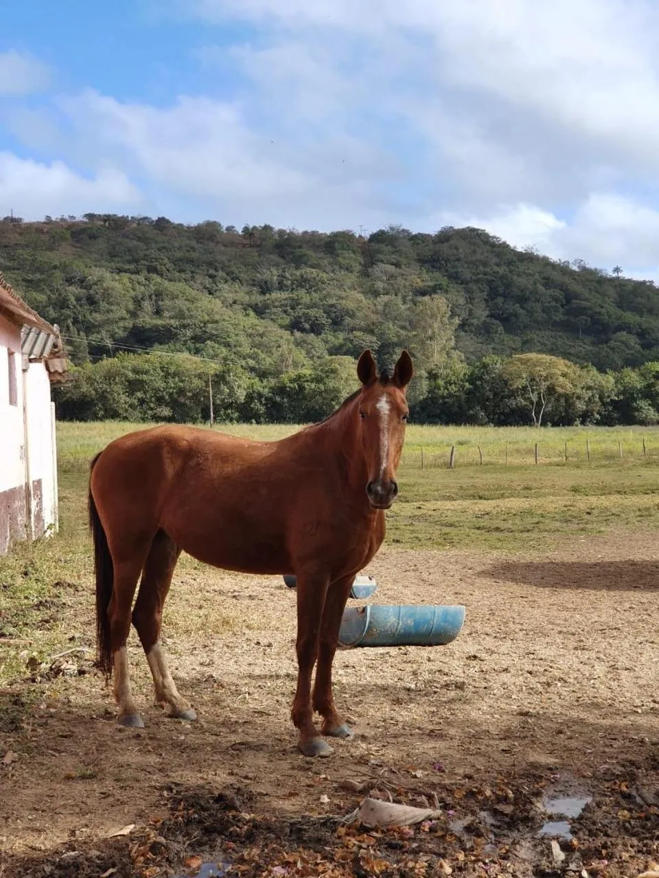 Fazenda Quinta da Esperança- Pousada e Lazer