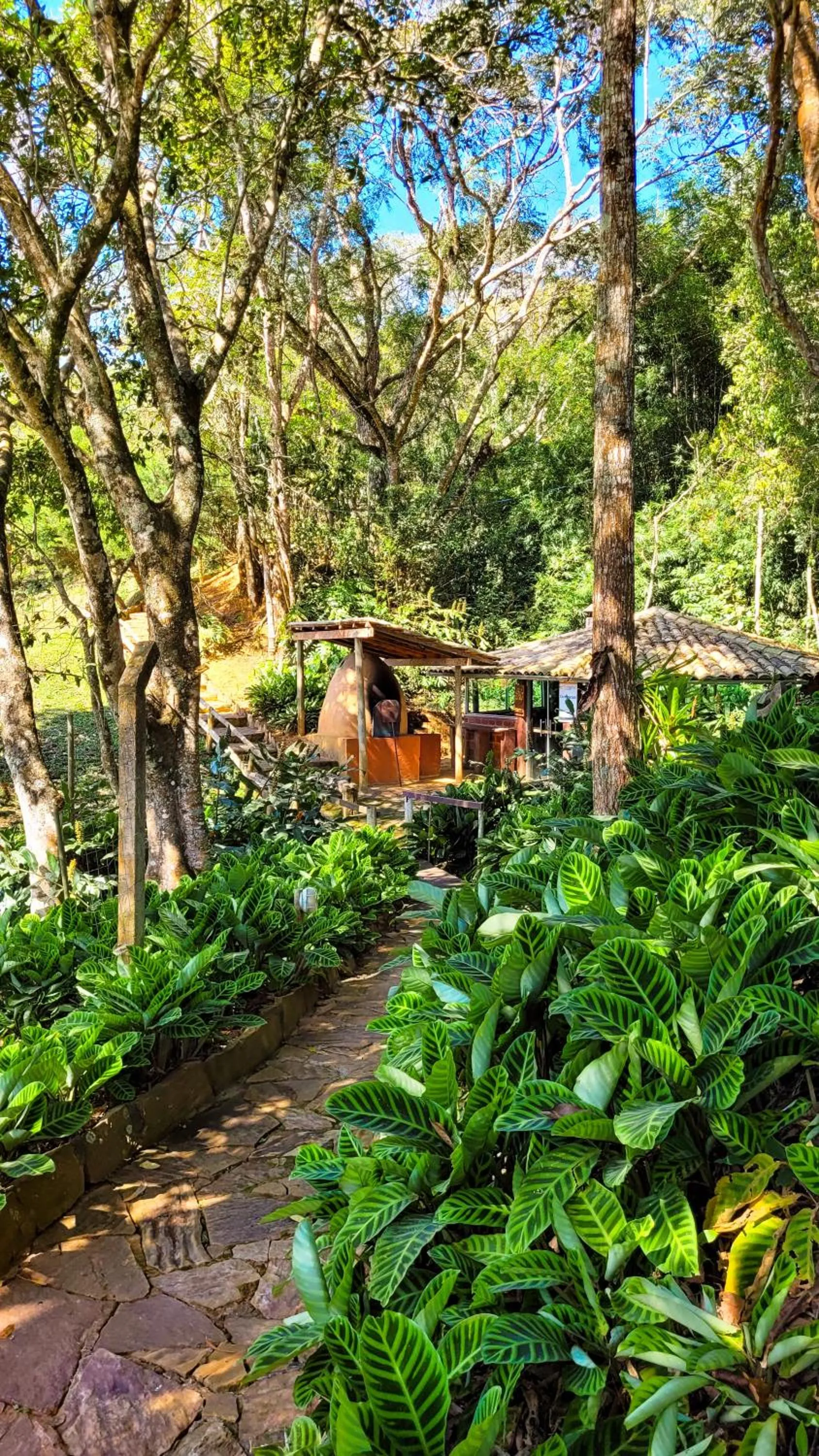 Fazenda Quinta da Esperança- Pousada e Lazer