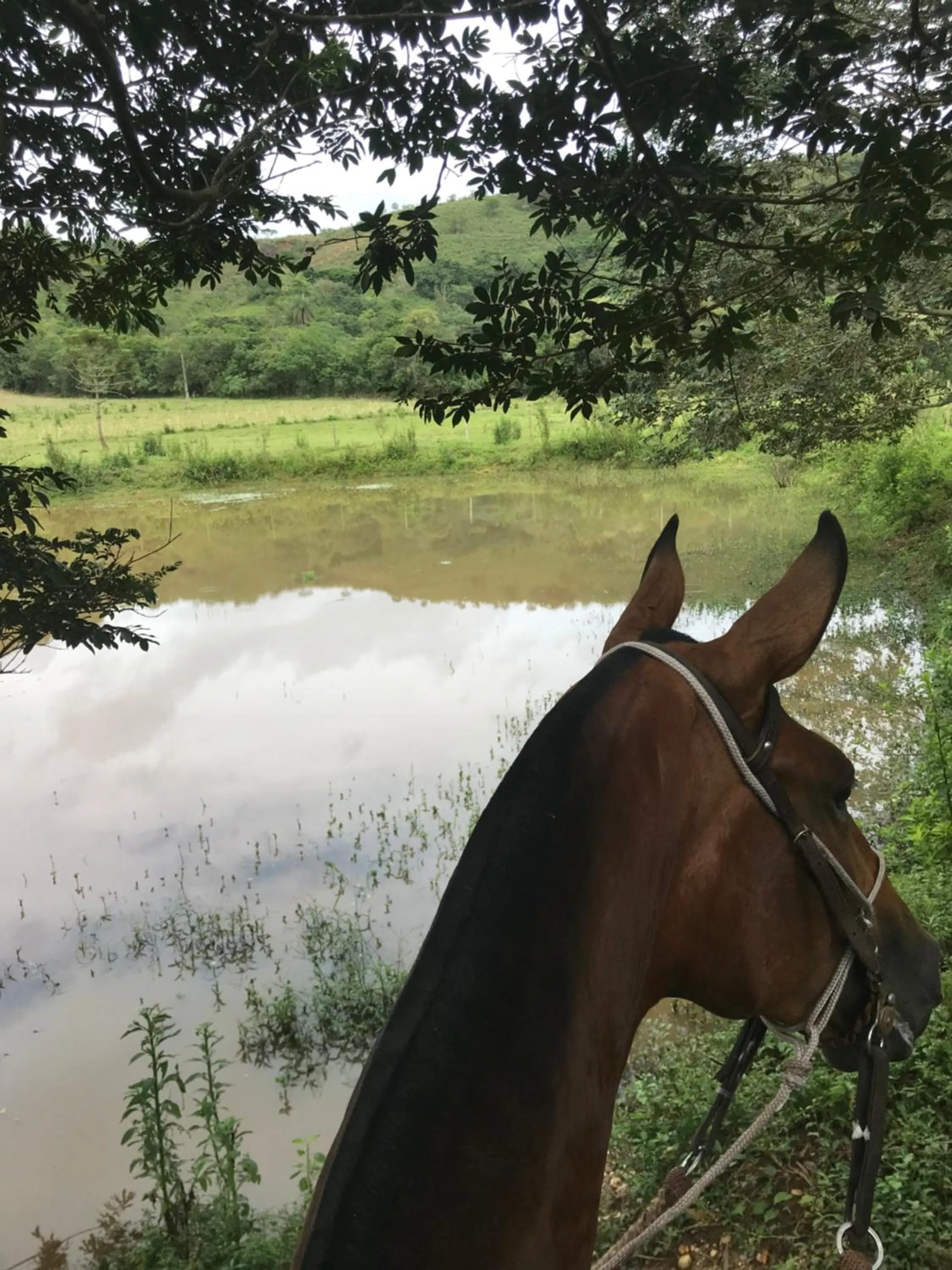 Fazenda Quinta da Esperança- Pousada e Lazer