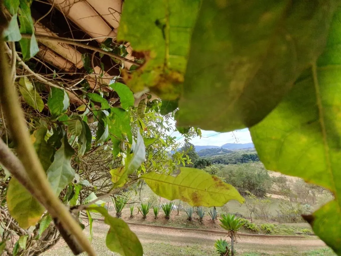 Garden in Fazenda Quinta da Esperança- Pousada e Lazer