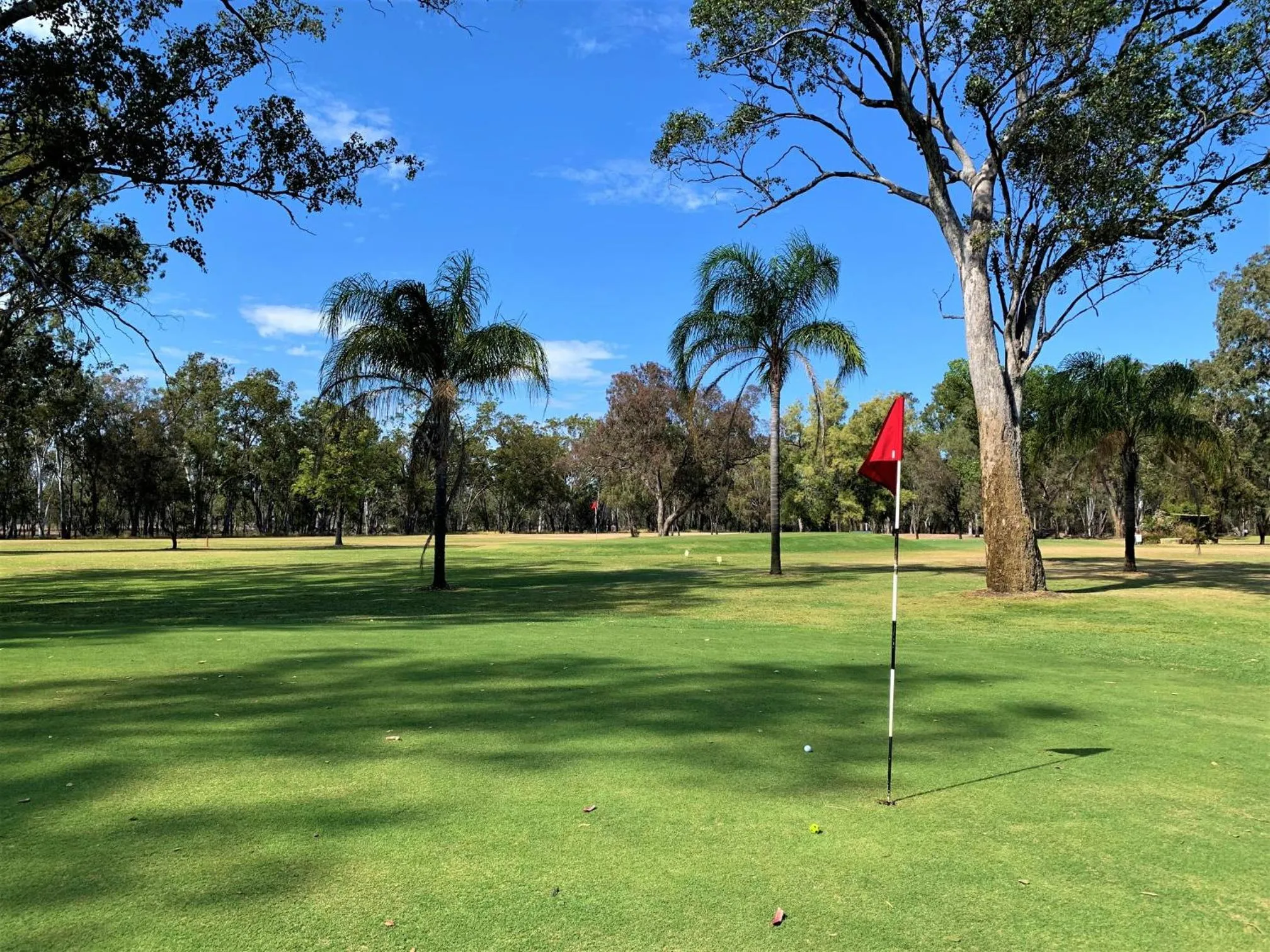 Golfcourse in Chinchilla White Gums Motor Inn