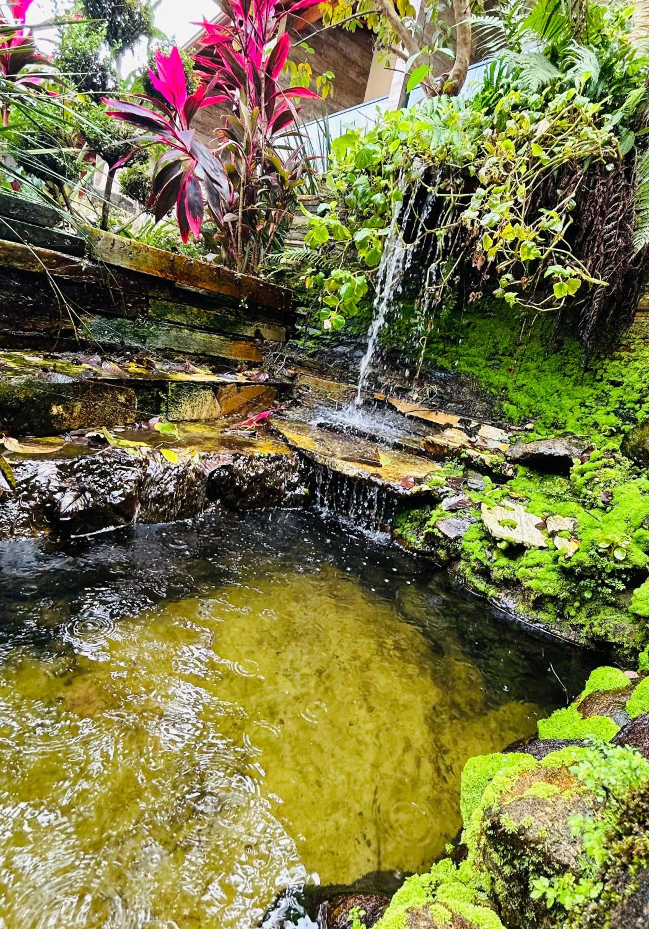 Lake view in Unalome Pousada