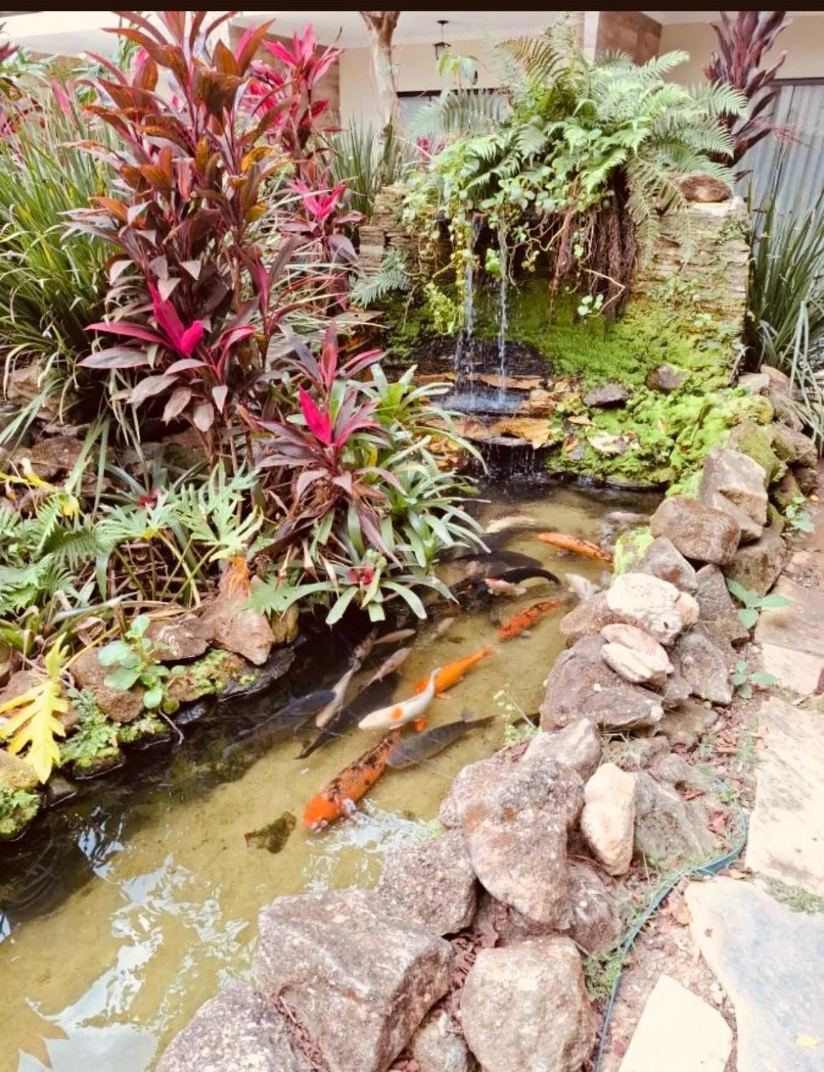 Garden in Unalome Pousada