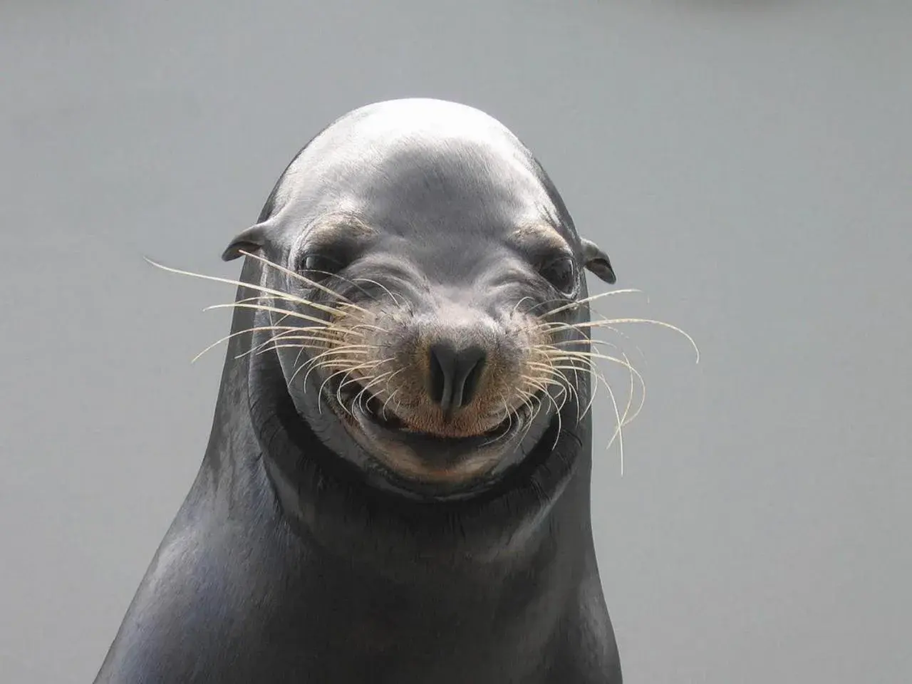 Other in Kamogawa Sea World Hotel Other in Kamogawa Sea World Hotel