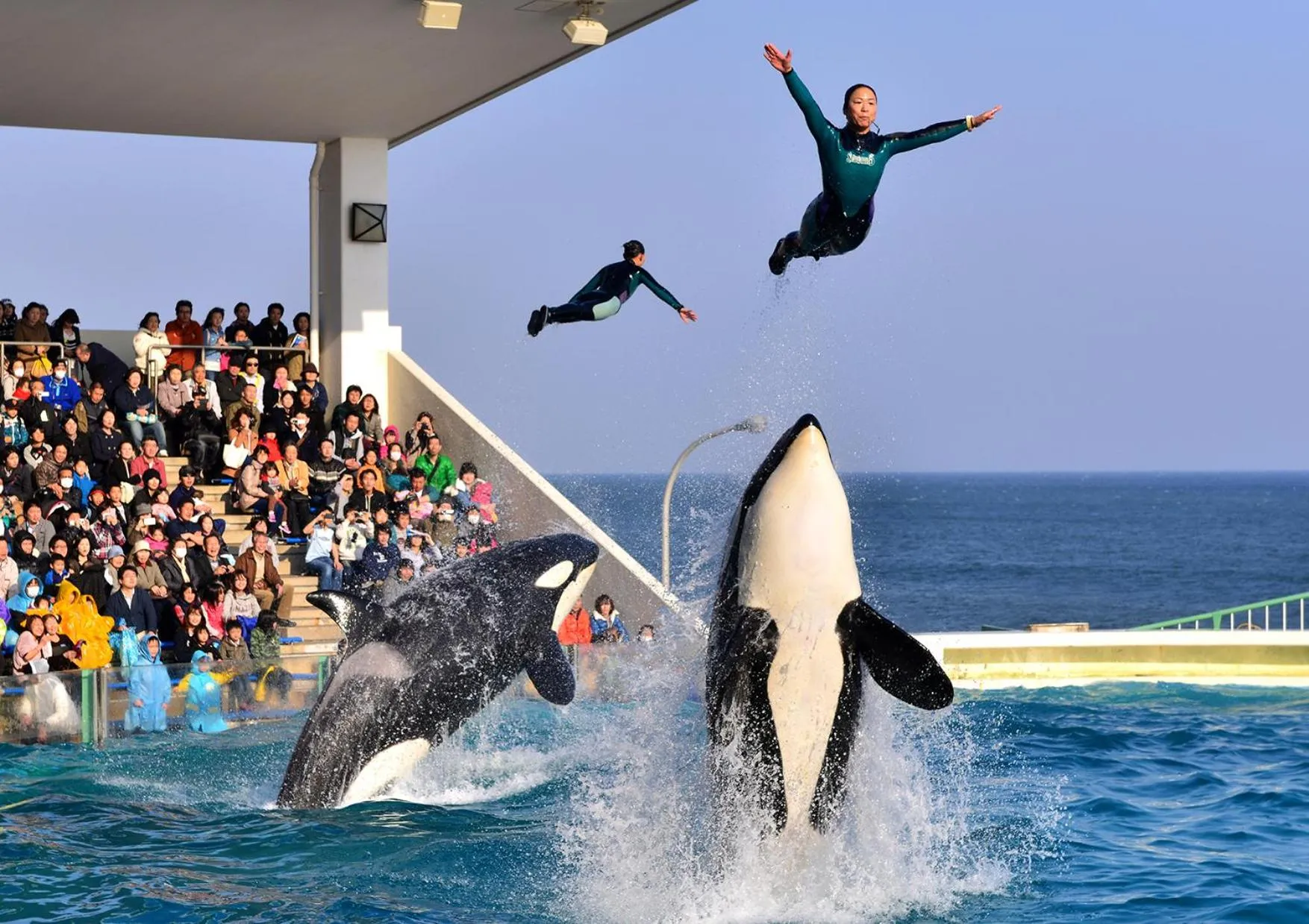 Location in Kamogawa Sea World Hotel