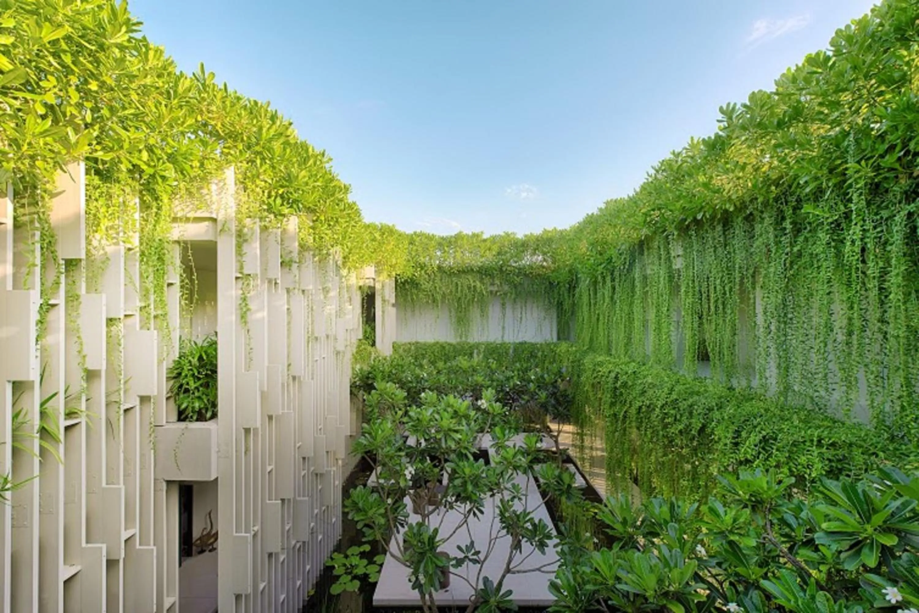 Activities in Naman Retreat