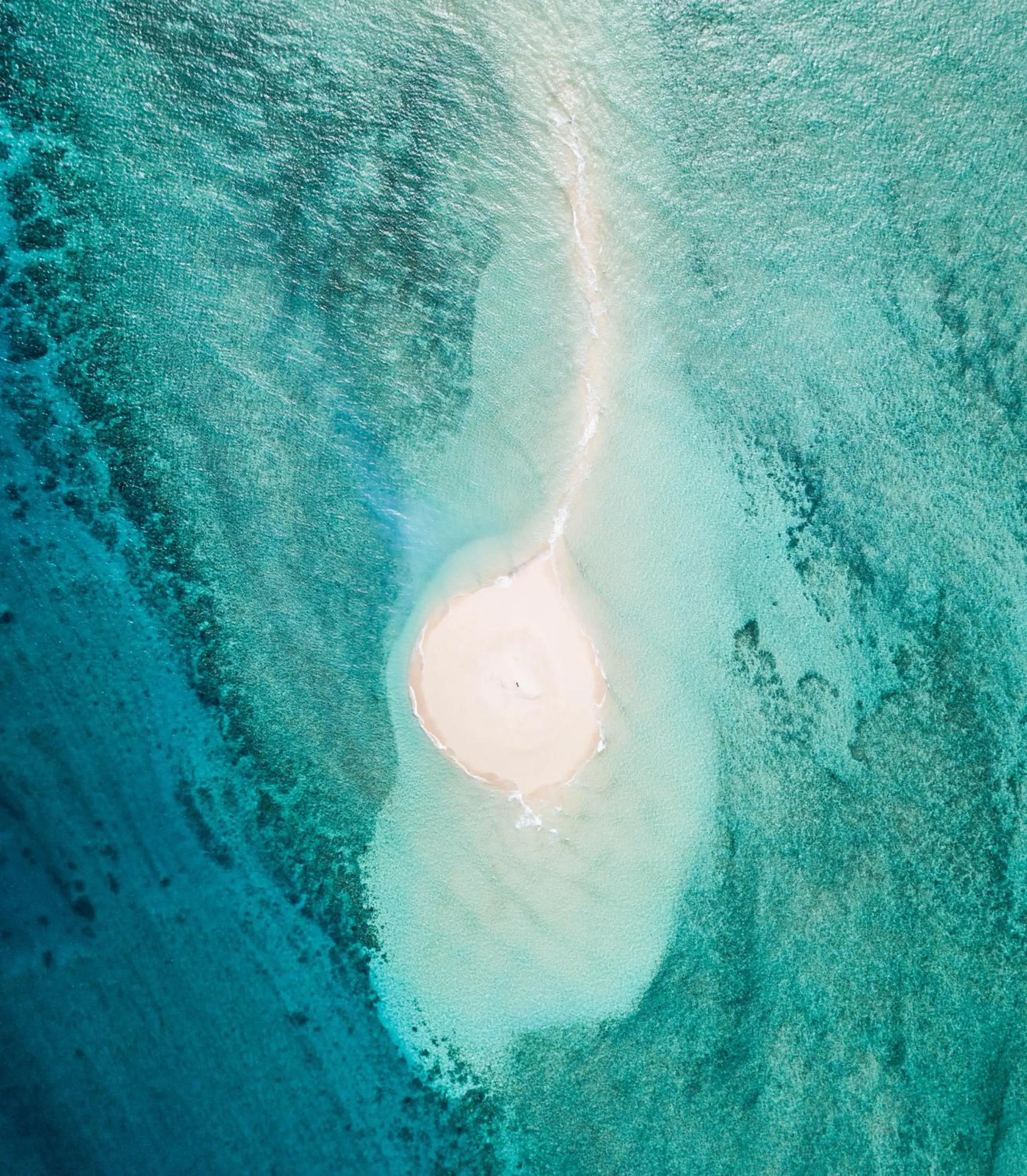 Off site in Hotel Maharajah