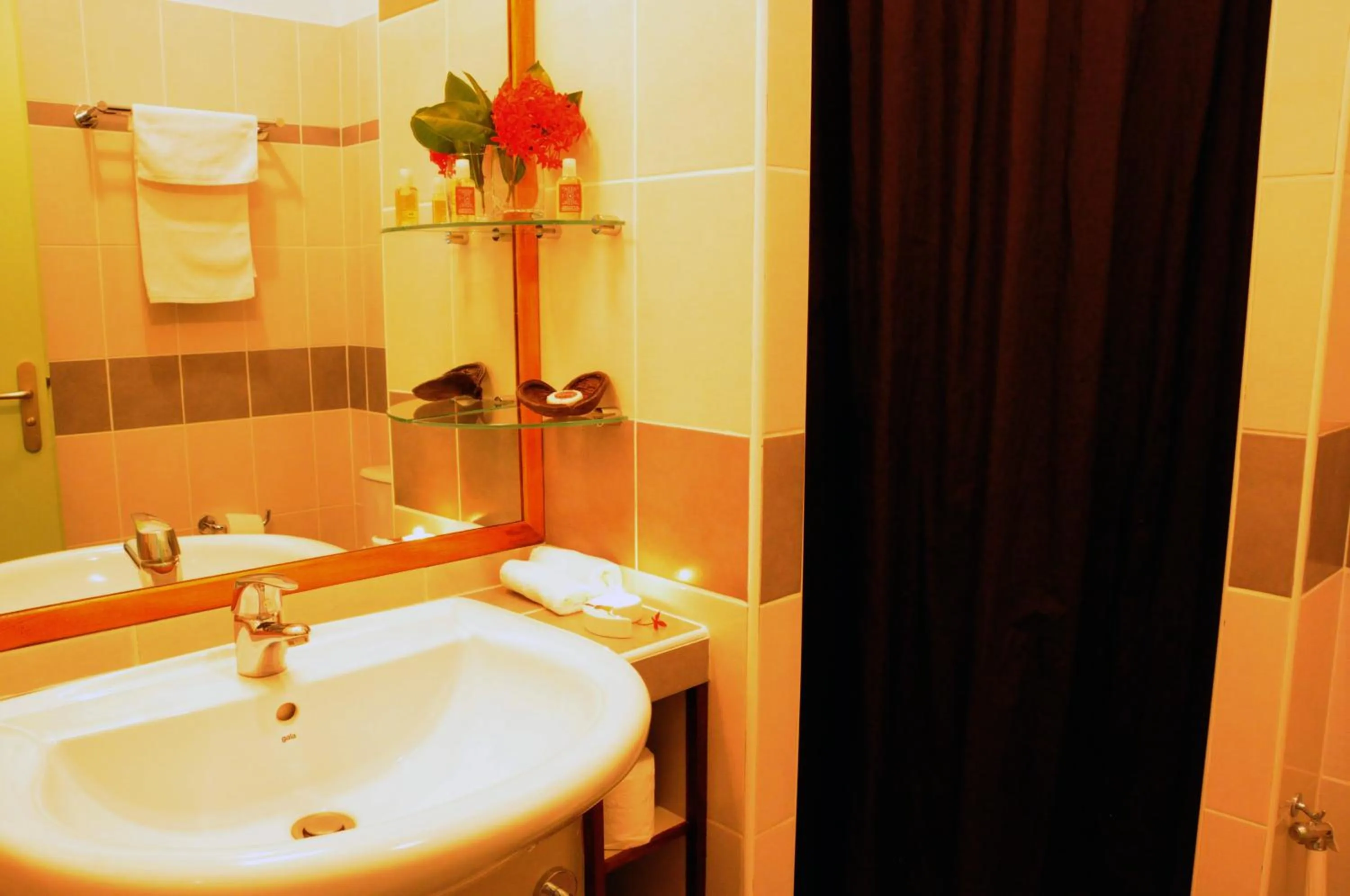 Bathroom in Hotel Maharajah