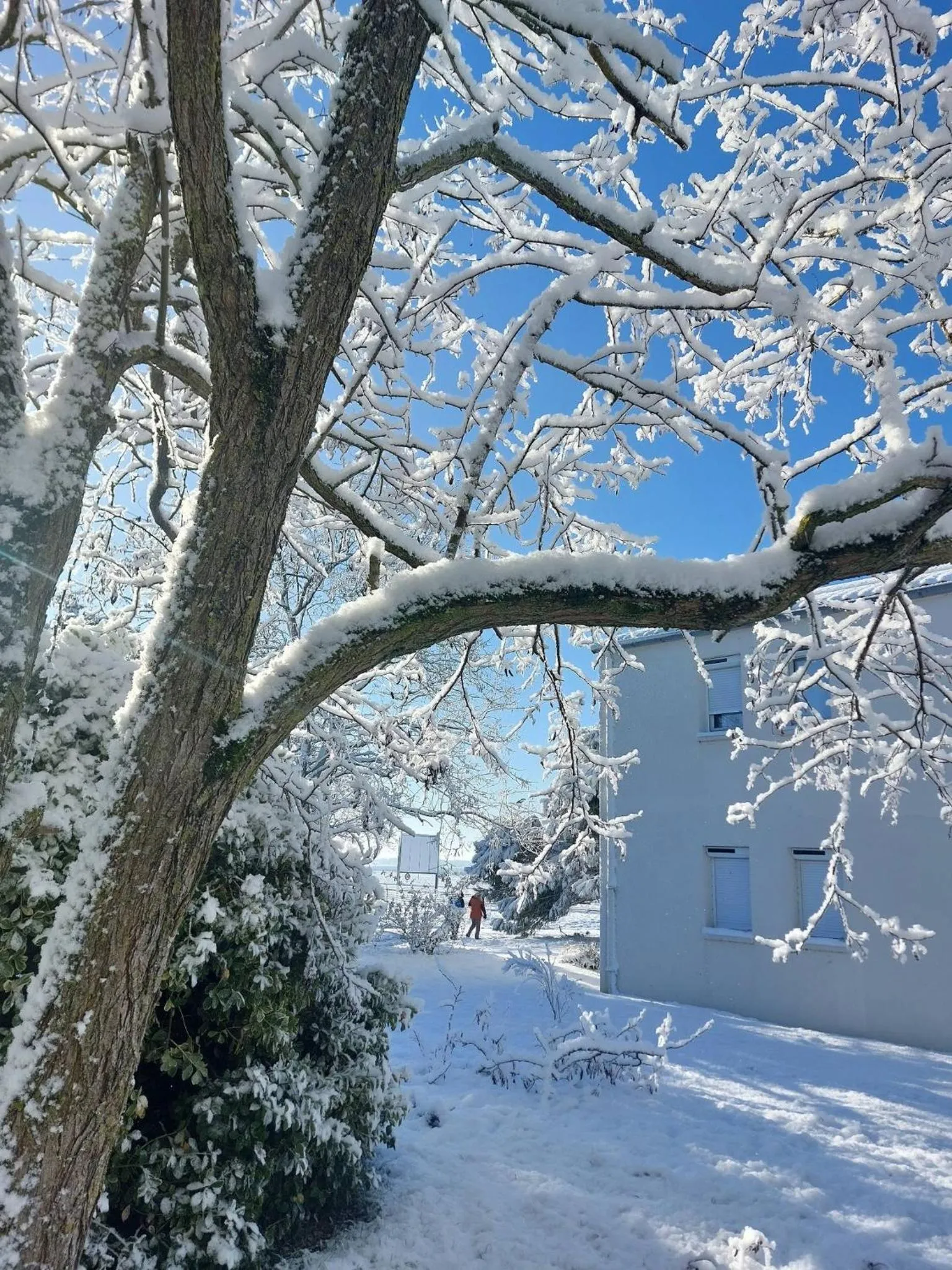 Garden in Logis Hôtel L'Air Marin