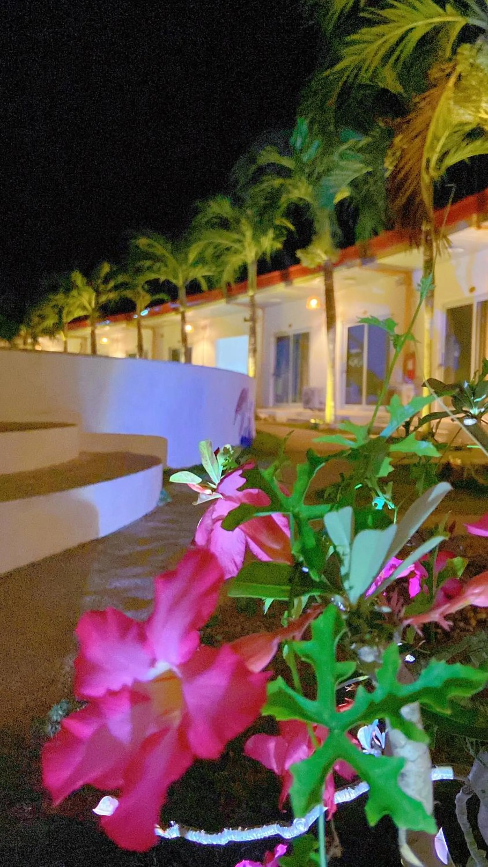 Night in Green Mango Resort