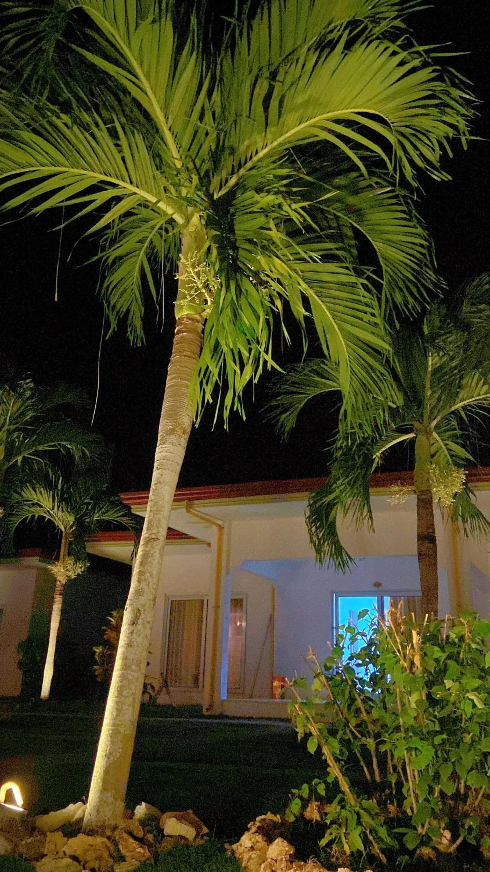 Night in Green Mango Resort