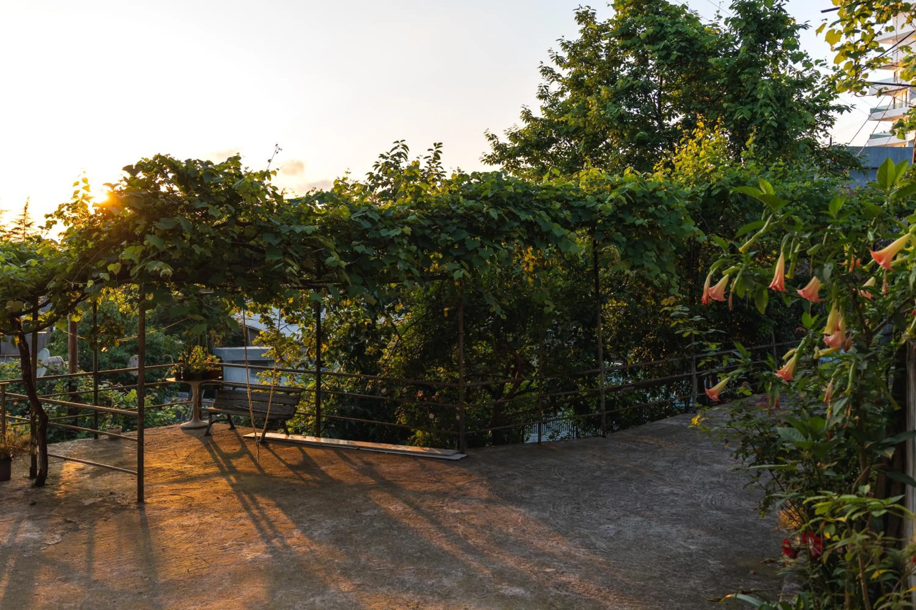 Day in Batumi Homestay at Tamar Mephe Avenue