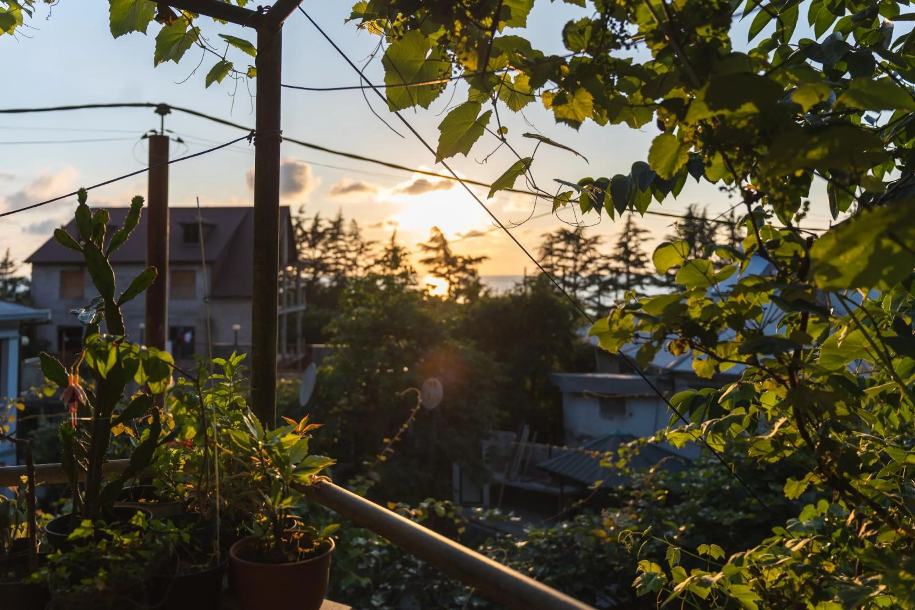 Day in Batumi Homestay at Tamar Mephe Avenue