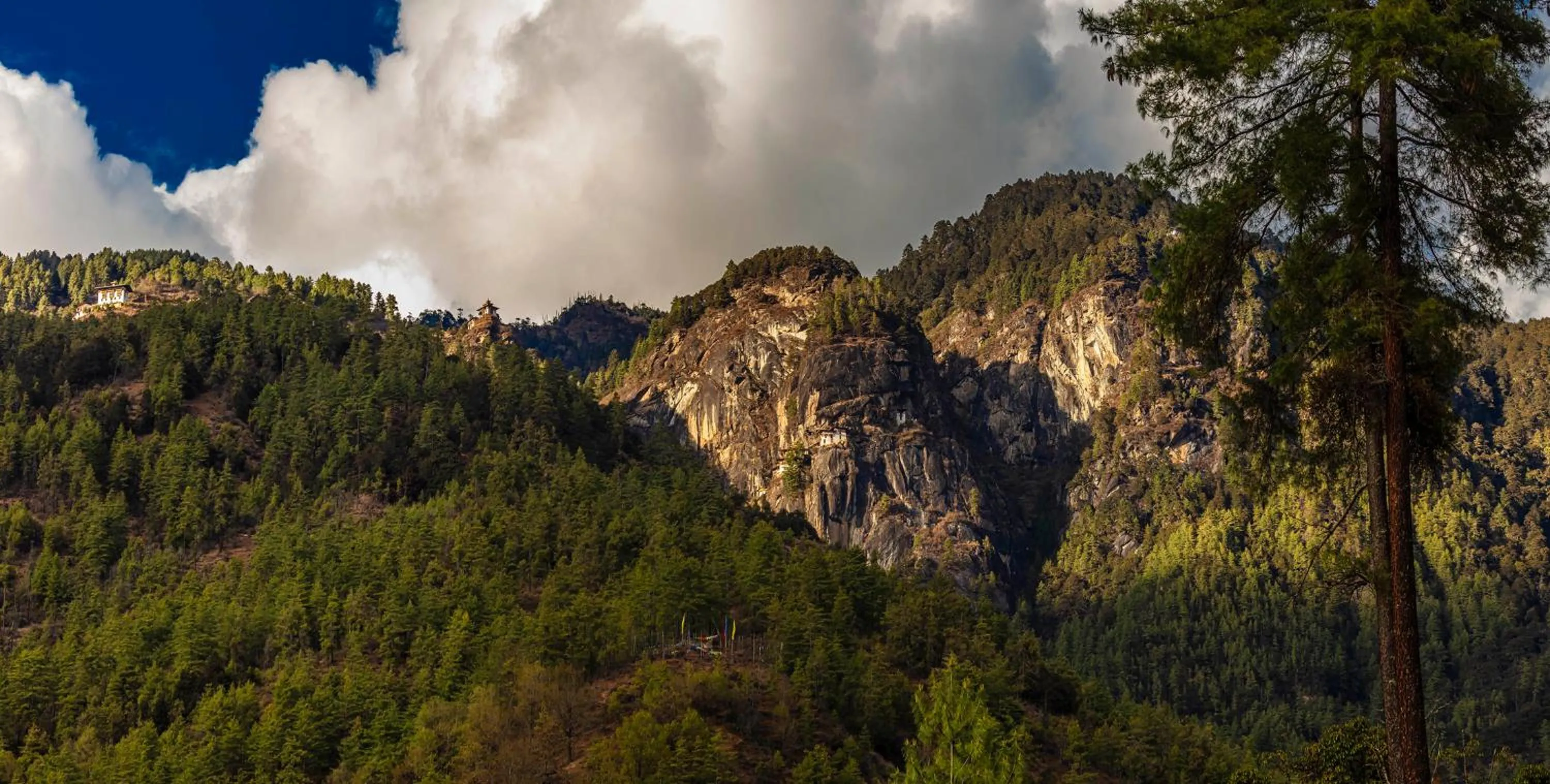 View (from property/room) in Taktsangri-La